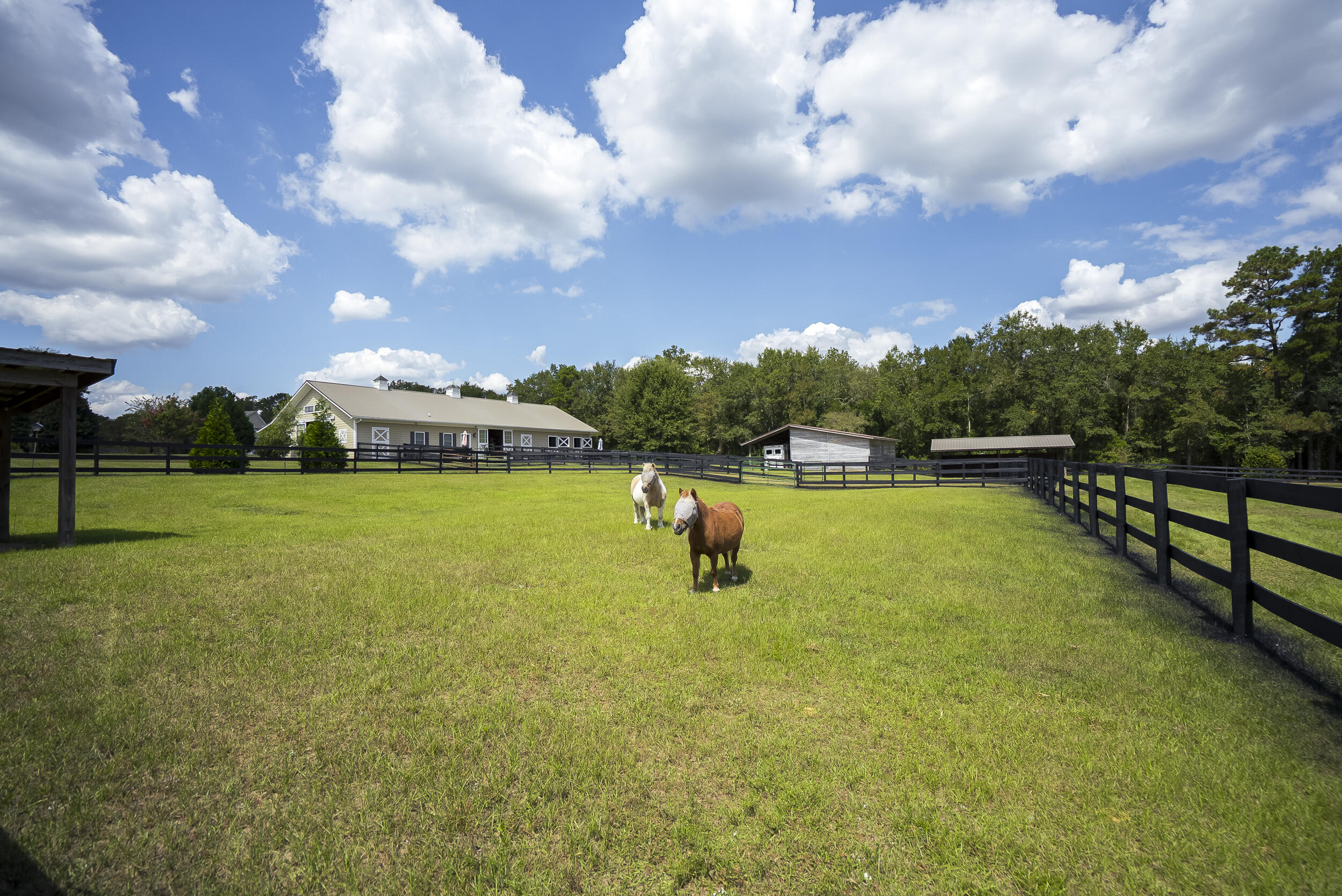 1165 Estancia Lane, Wagener