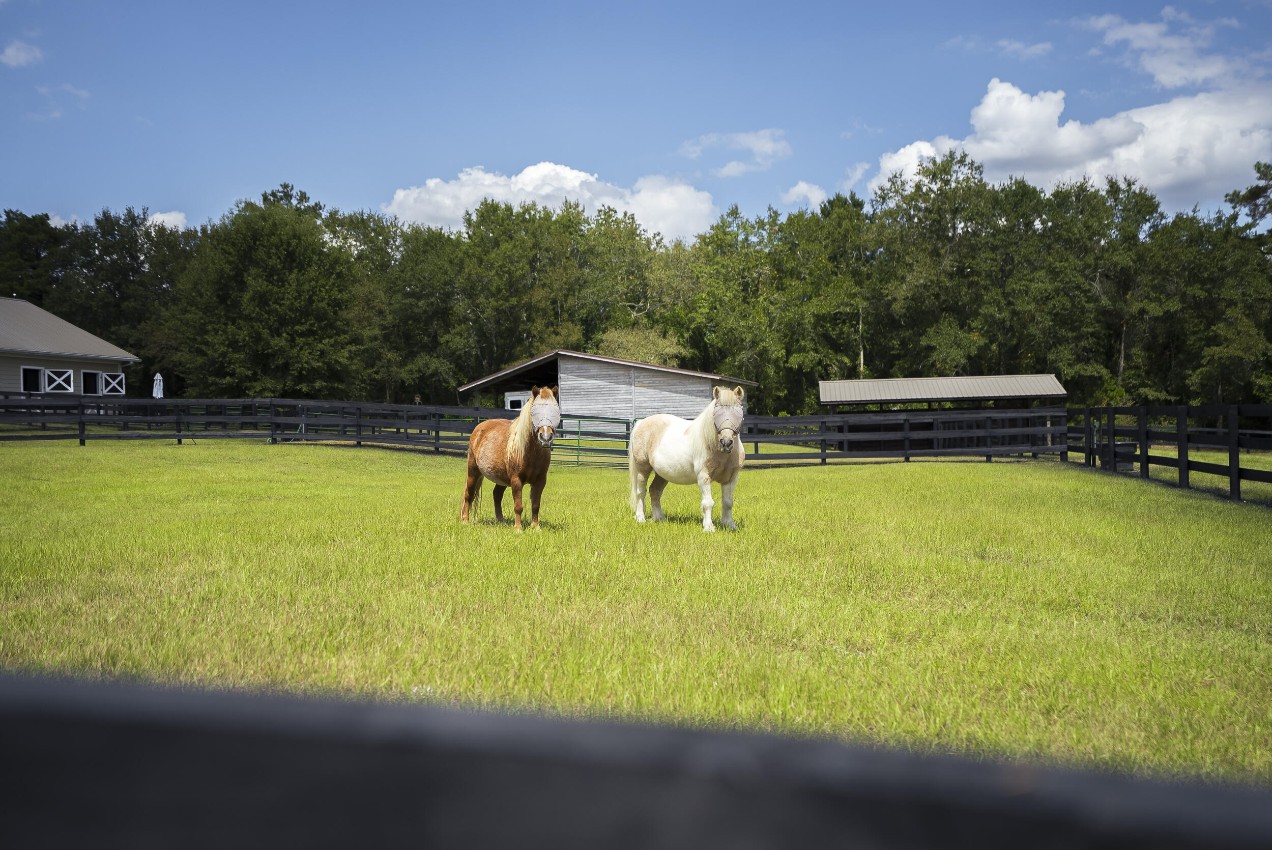 1165 Estancia Lane, Wagener