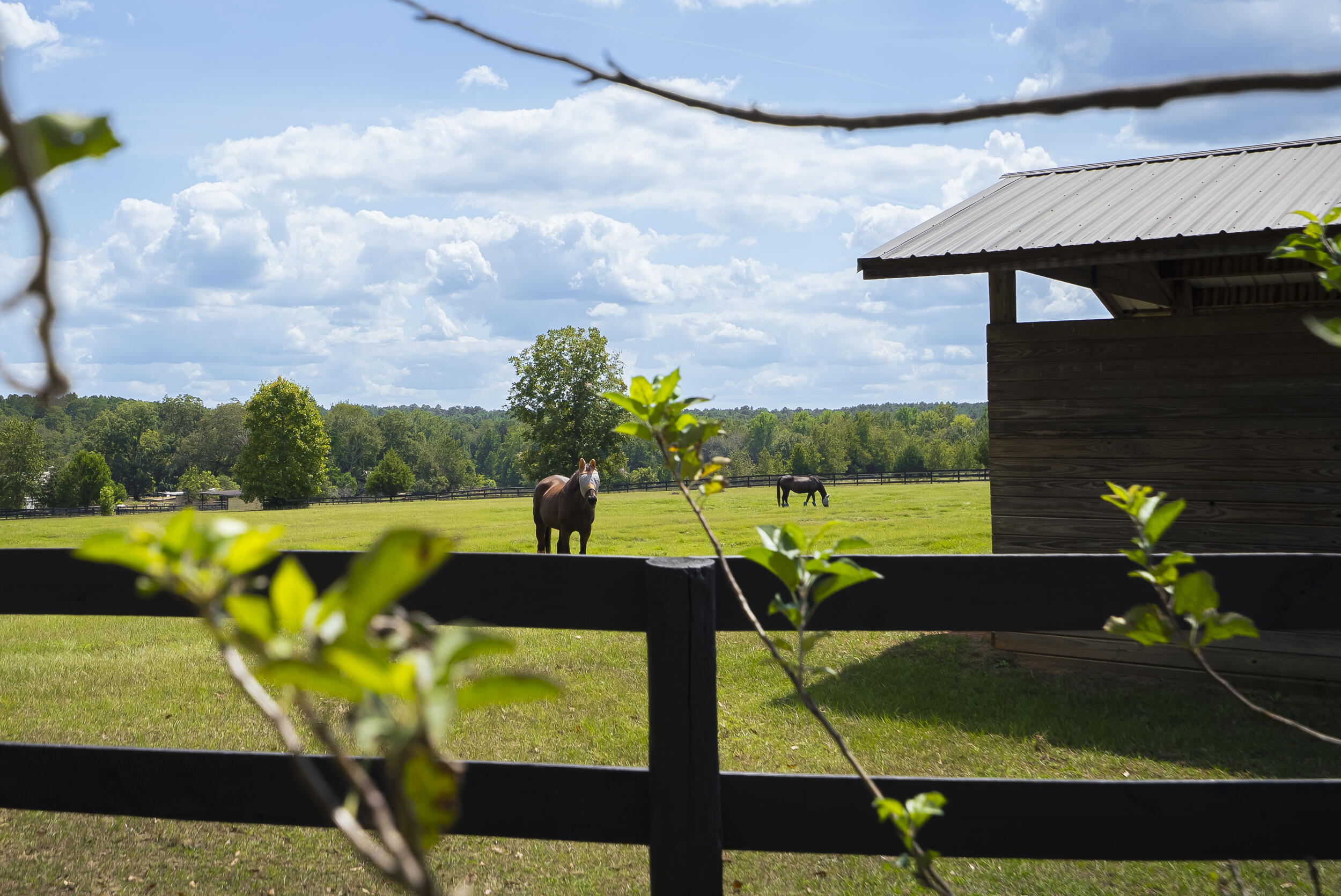 1165 Estancia Lane, Wagener