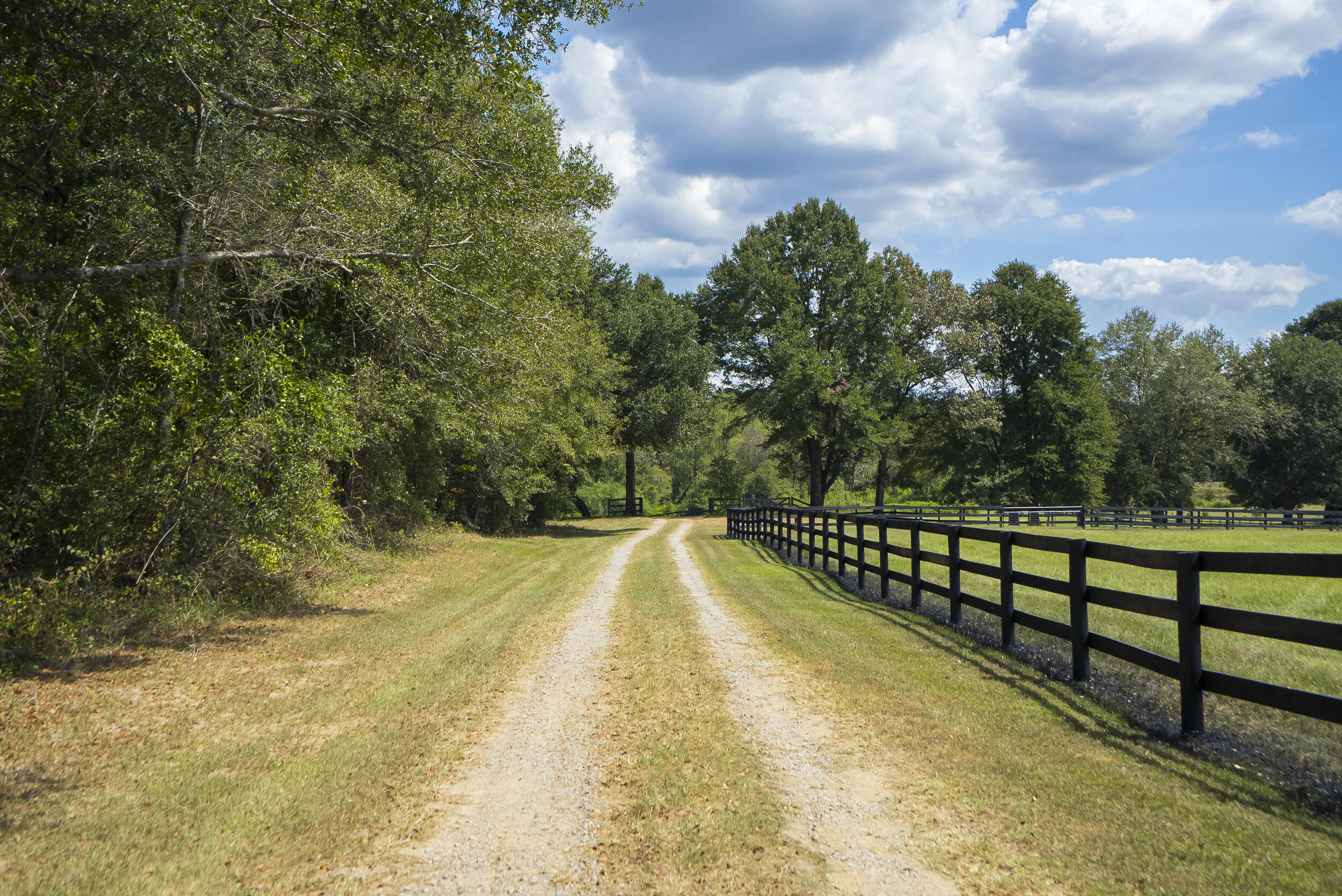 1165 Estancia Lane, Wagener