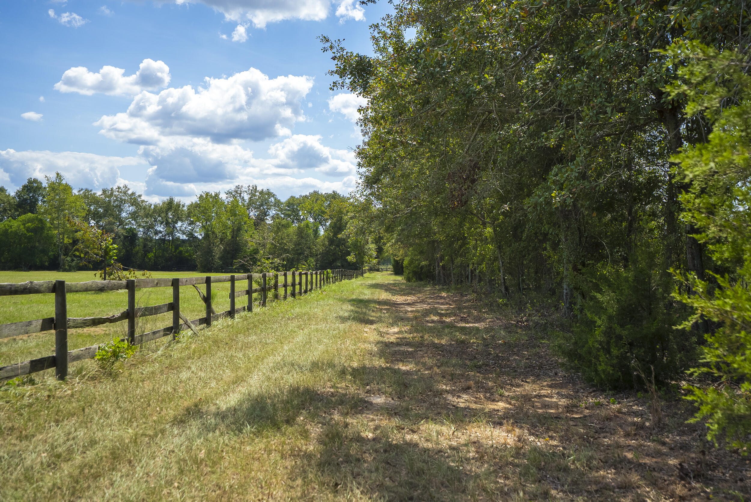 1165 Estancia Lane, Wagener