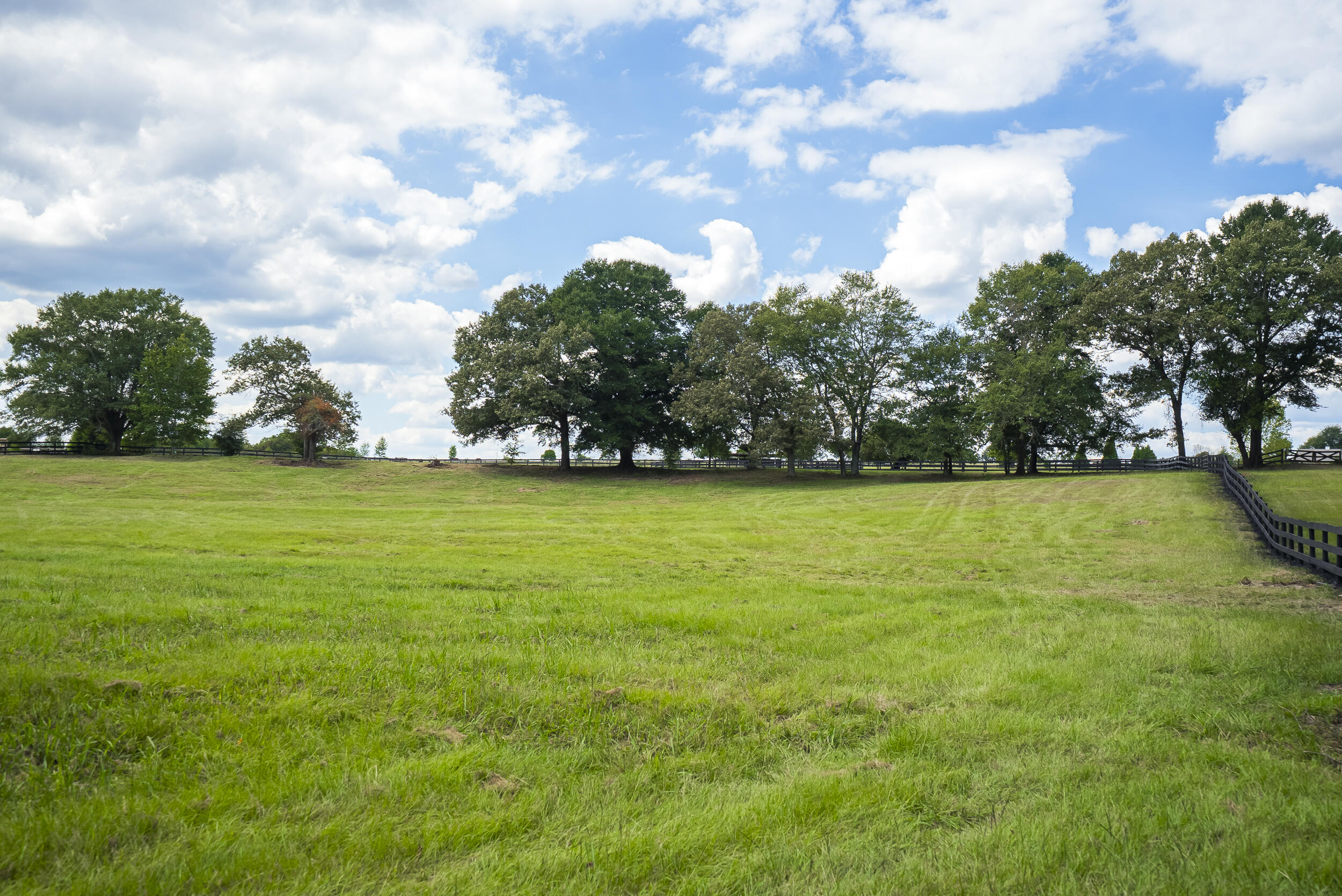 1165 Estancia Lane, Wagener