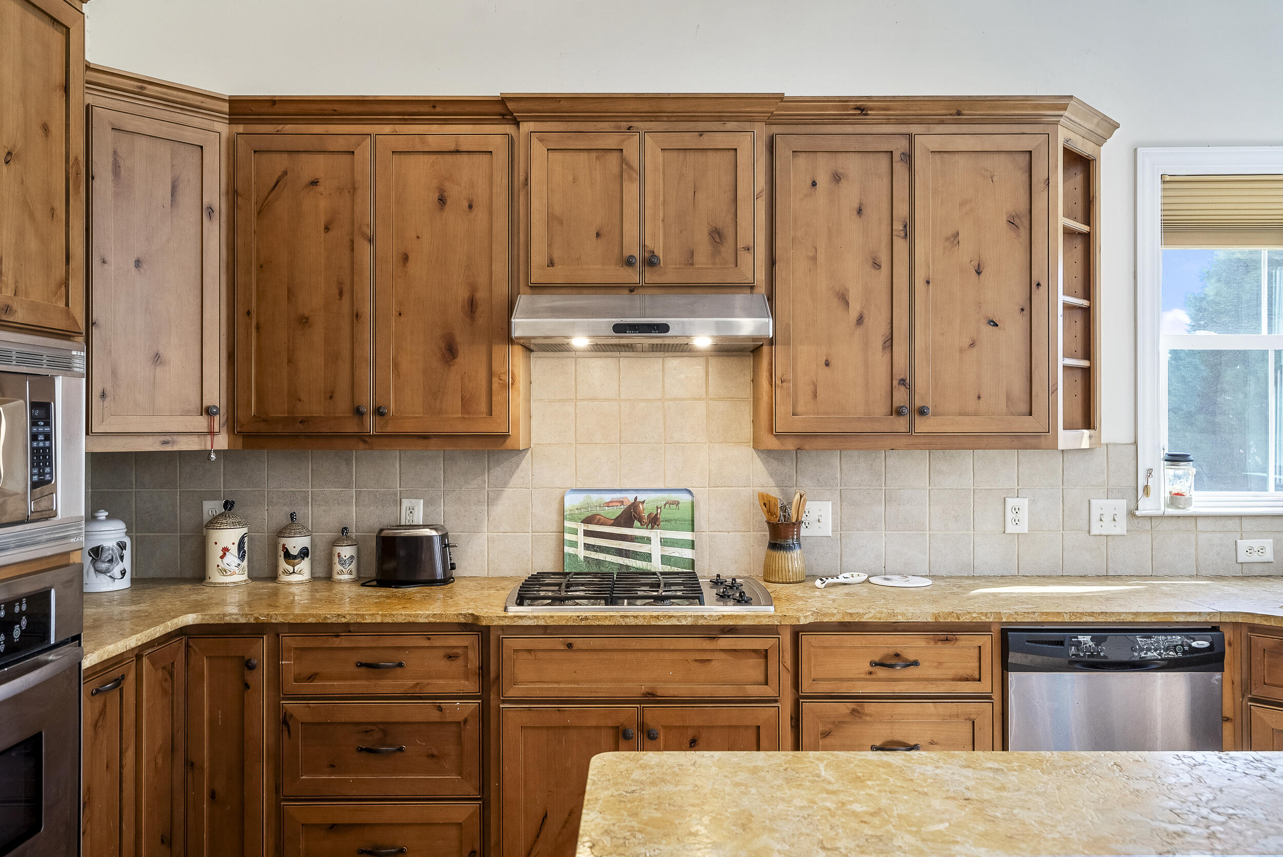 1165 Estancia Lane, Wagener