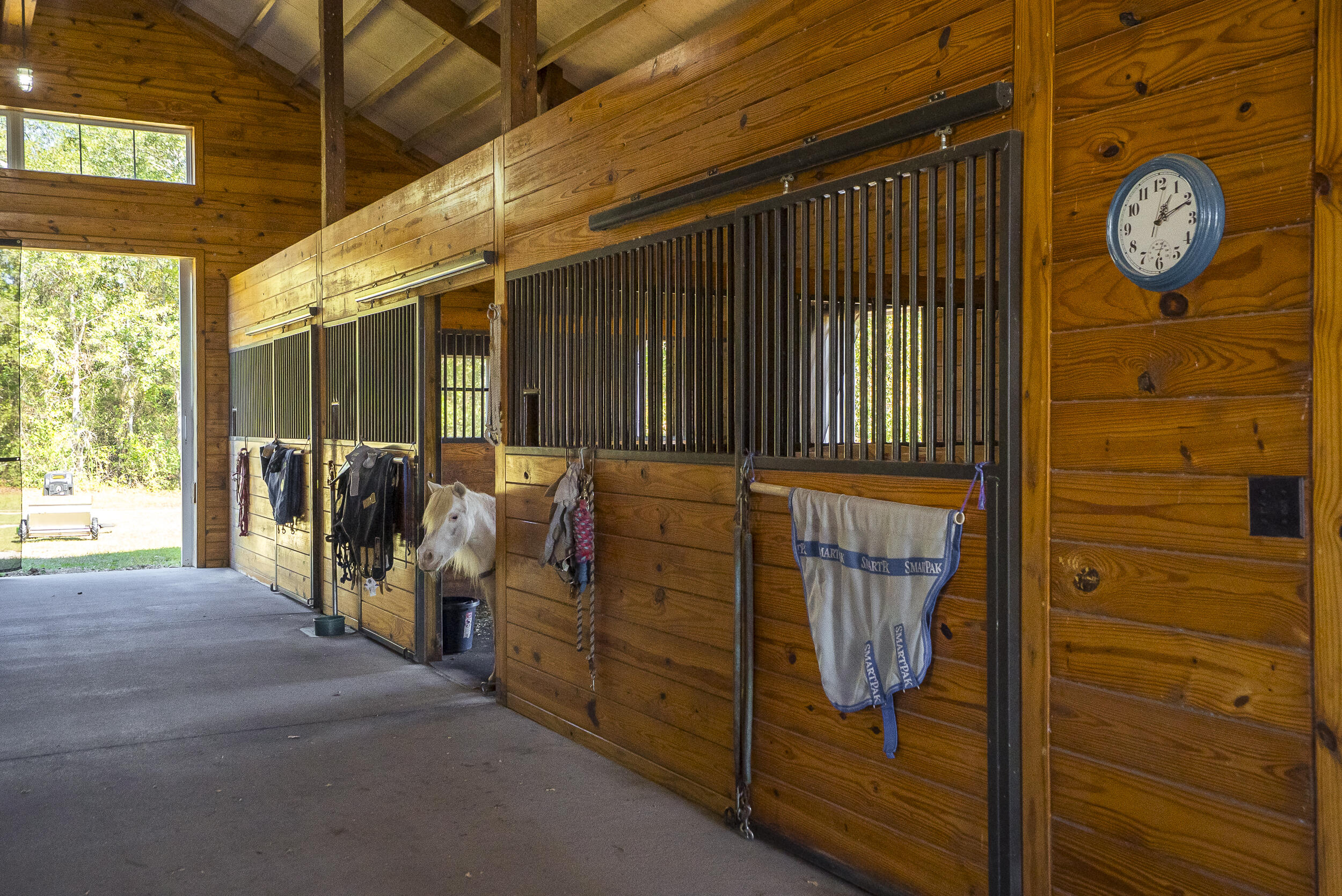 1165 Estancia Lane, Wagener