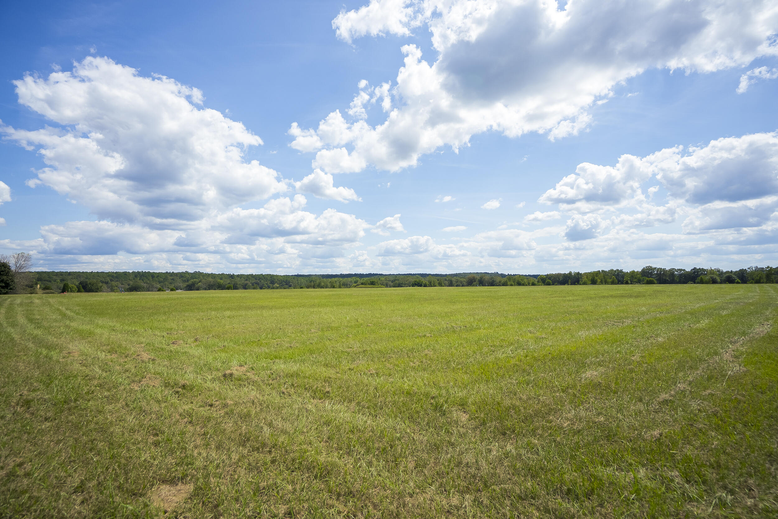 1165 Estancia Lane, Wagener