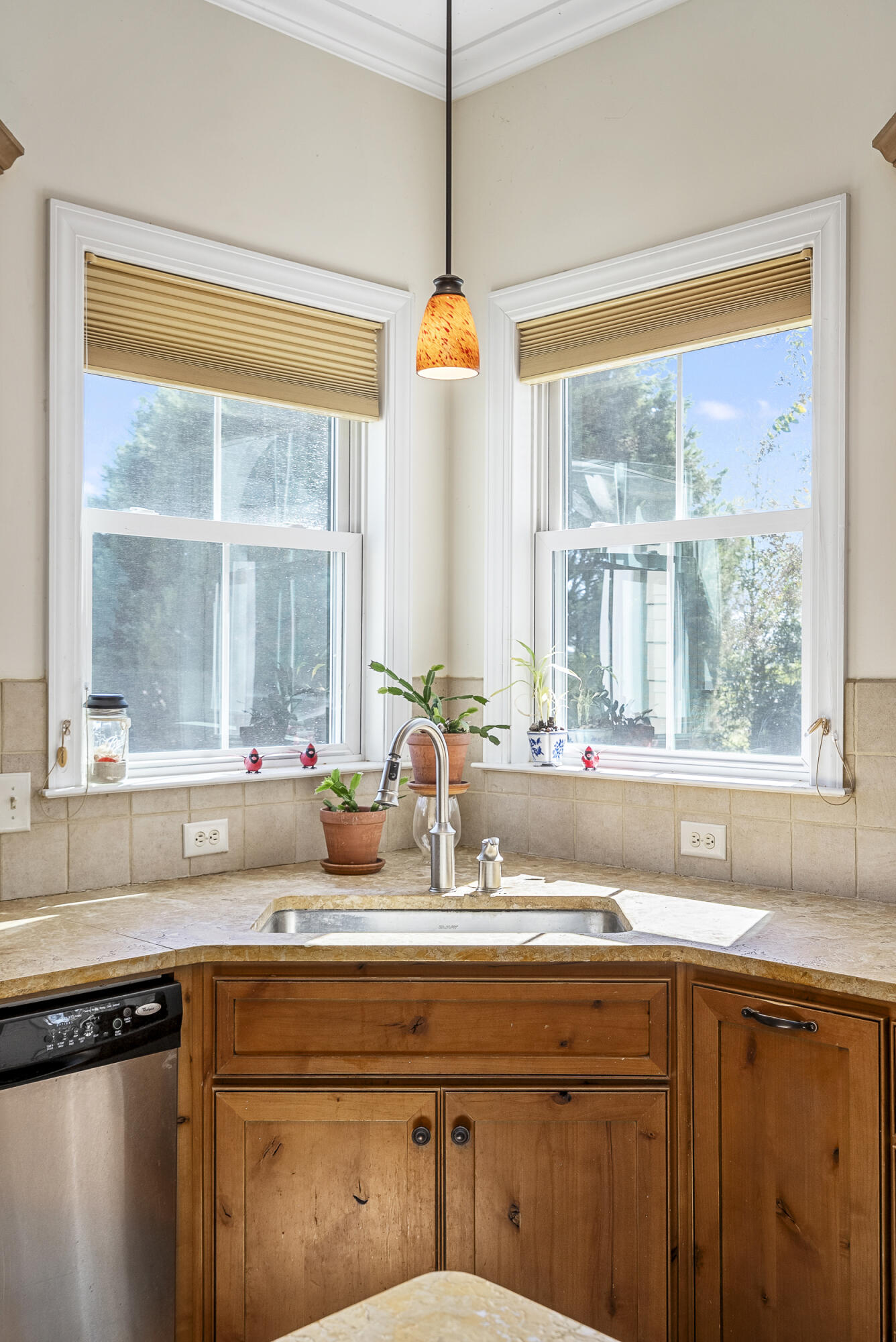 1165 Estancia Lane, Wagener