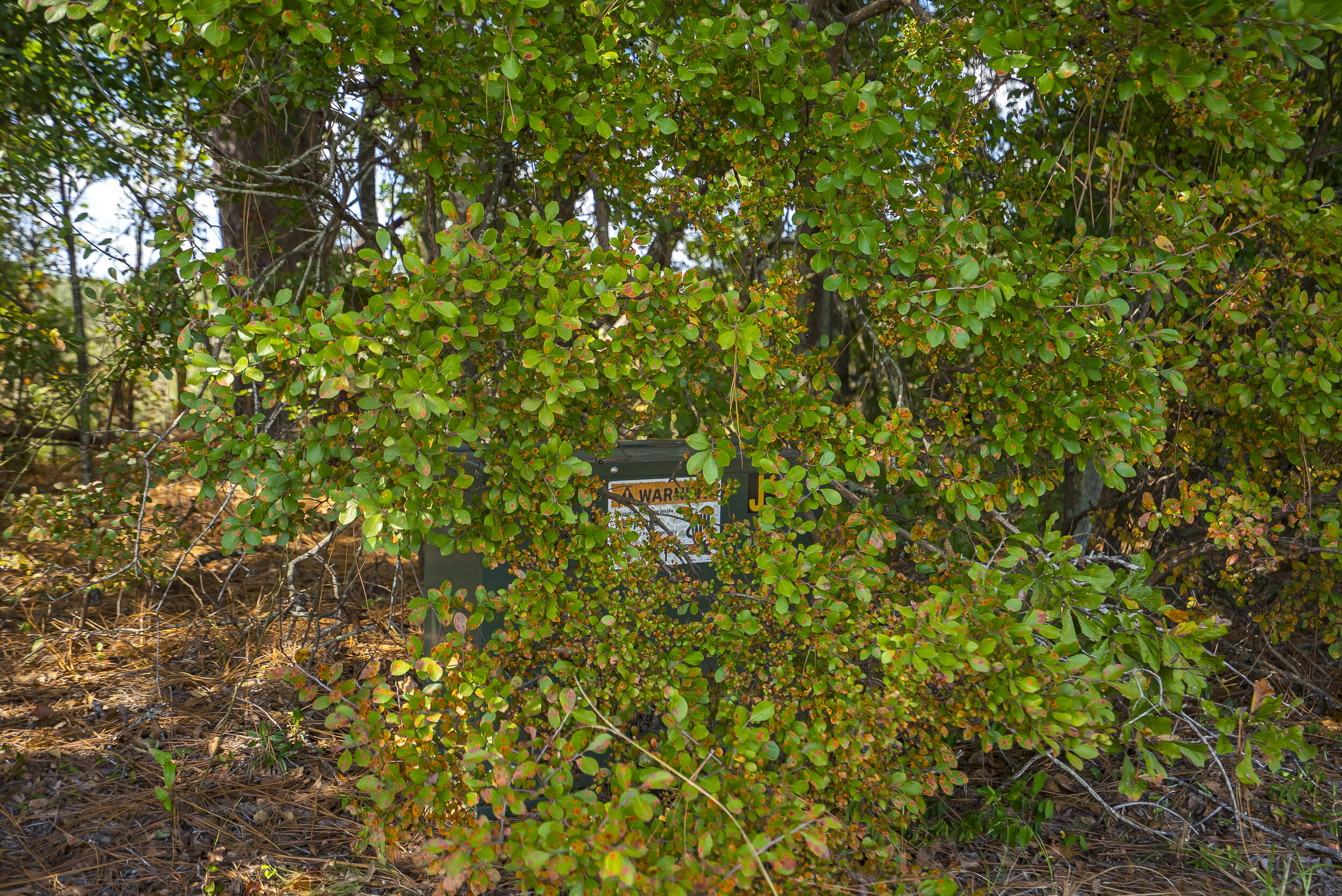 1165 Estancia Lane, Wagener