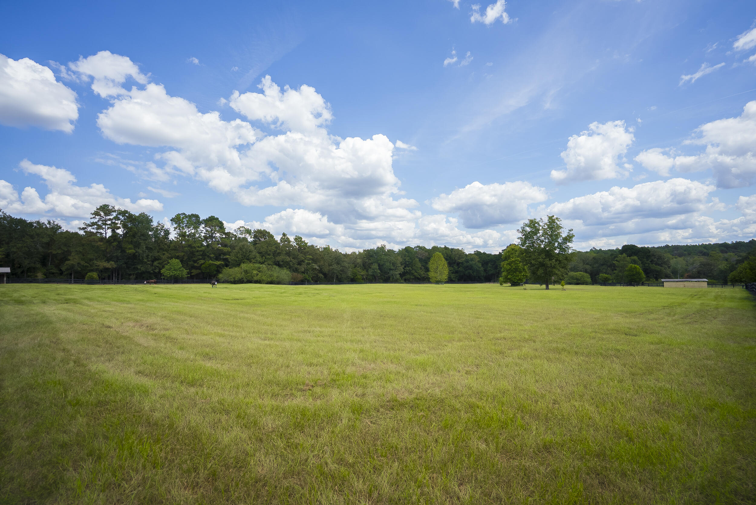 1165 Estancia Lane, Wagener