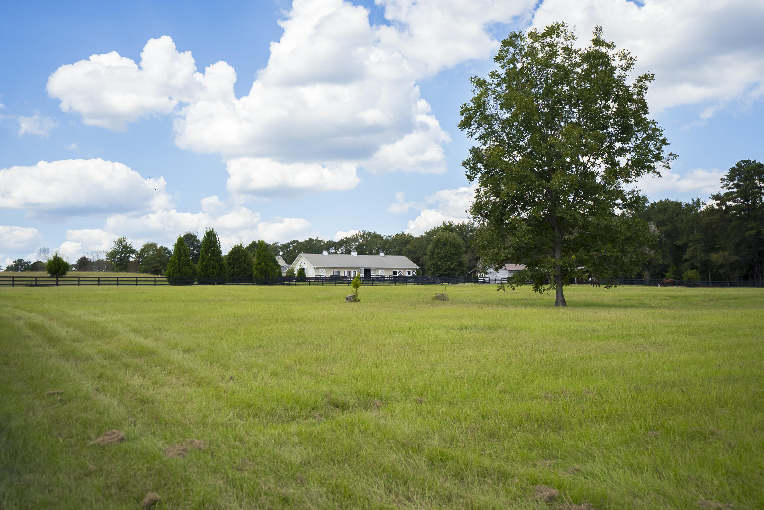 1165 Estancia Lane, Wagener