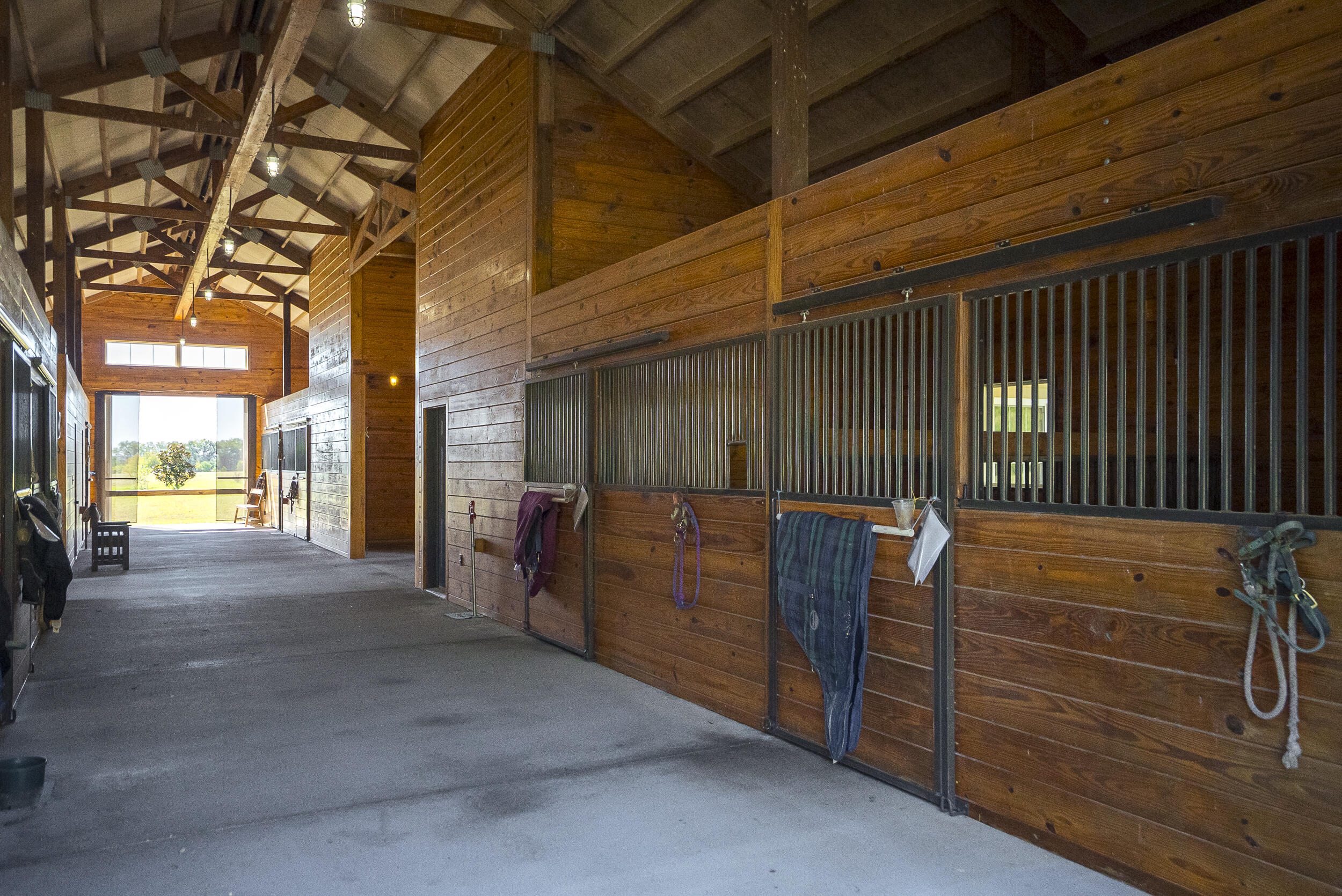 1165 Estancia Lane, Wagener