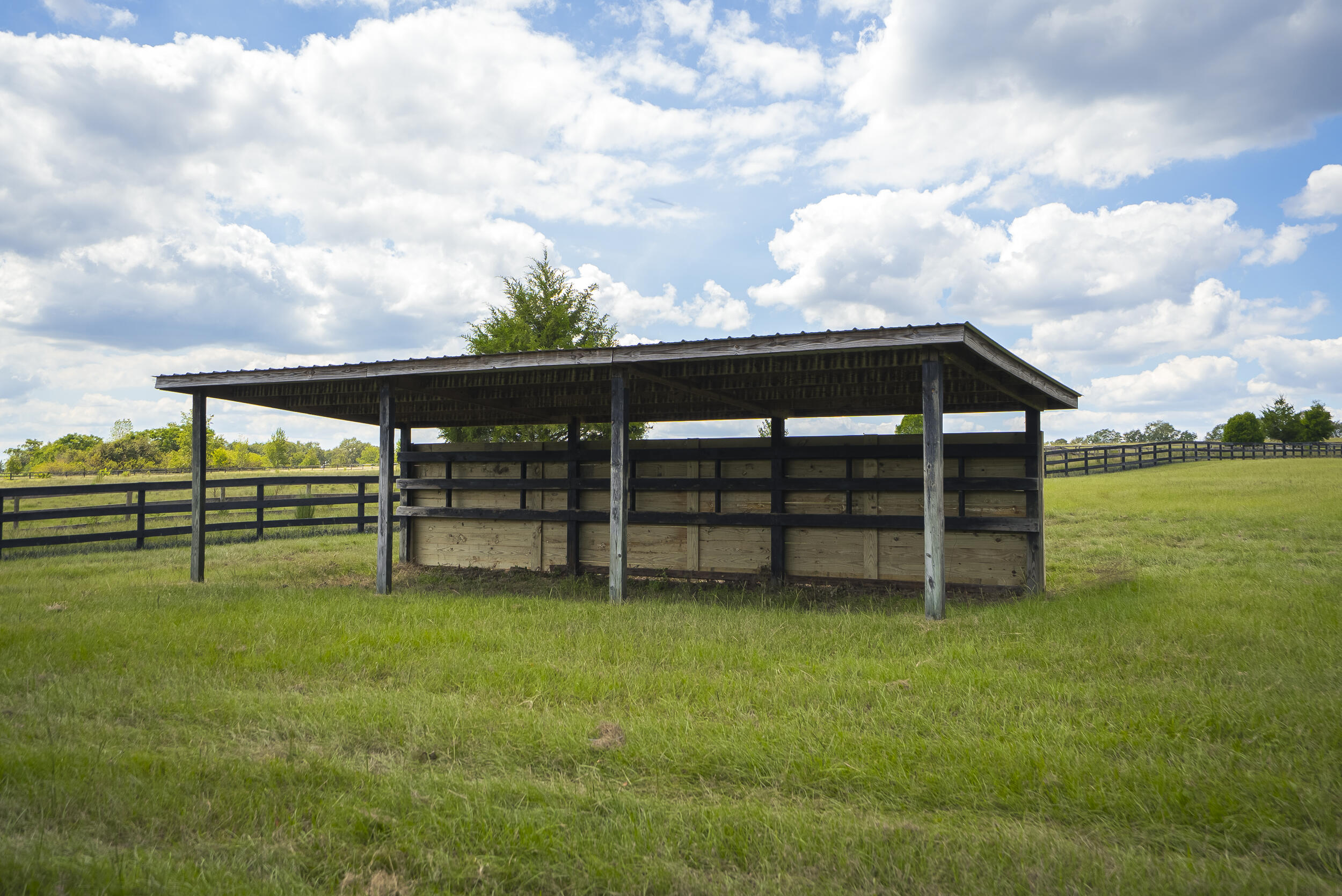 1165 Estancia Lane, Wagener