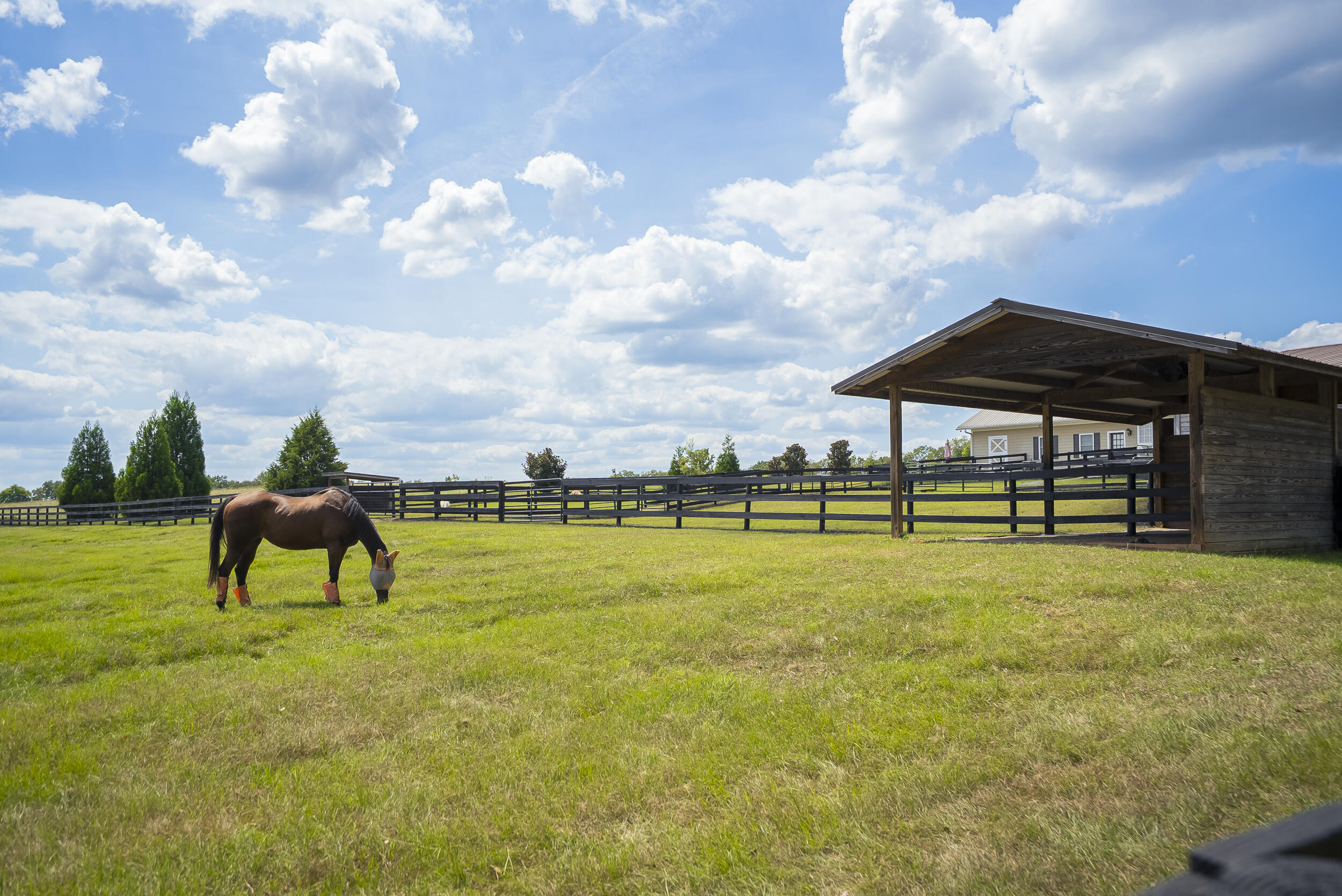 1165 Estancia Lane, Wagener