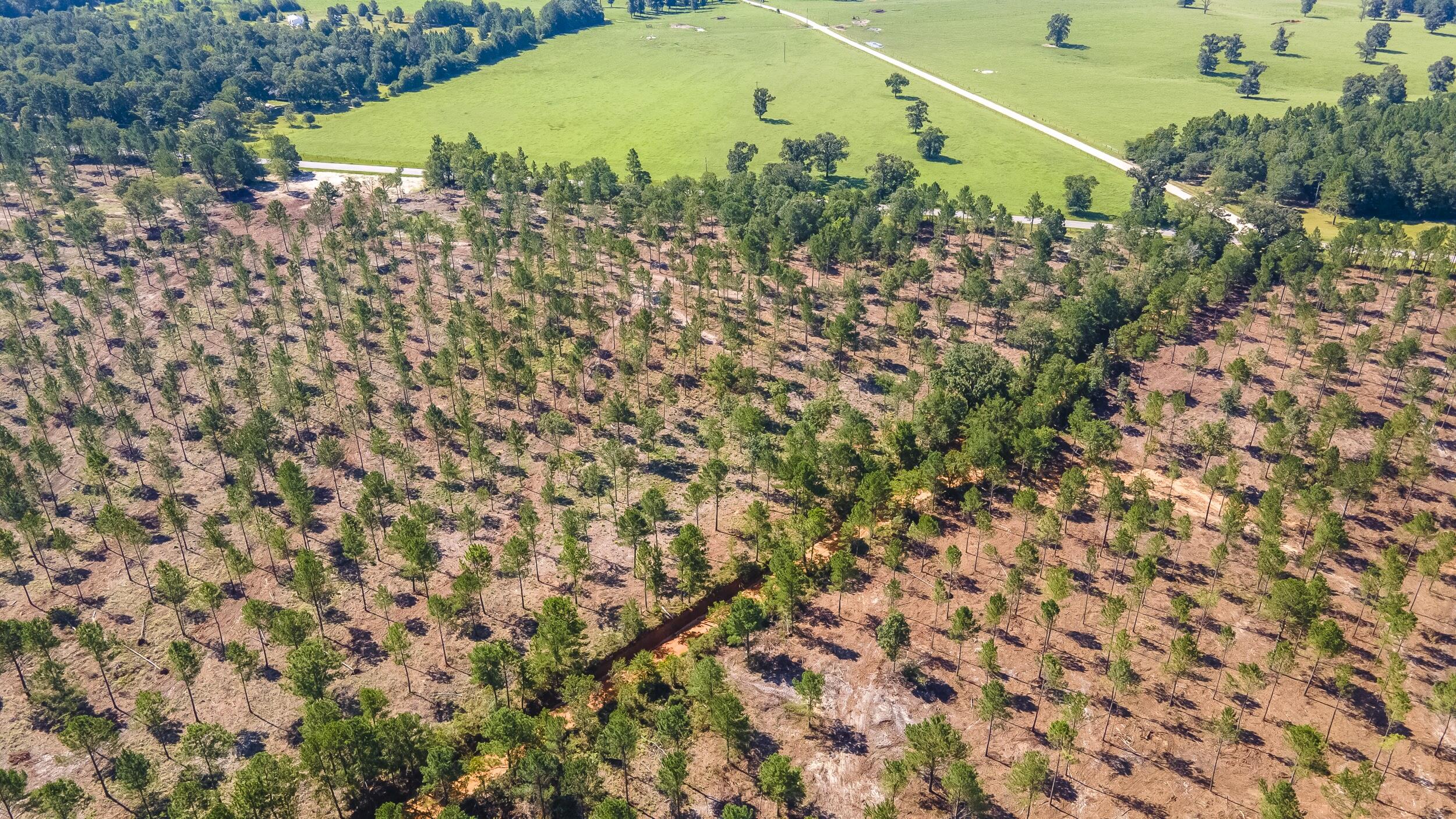 (Lot 10) Shadow Lane / Camp Rawls Rd, Wagener