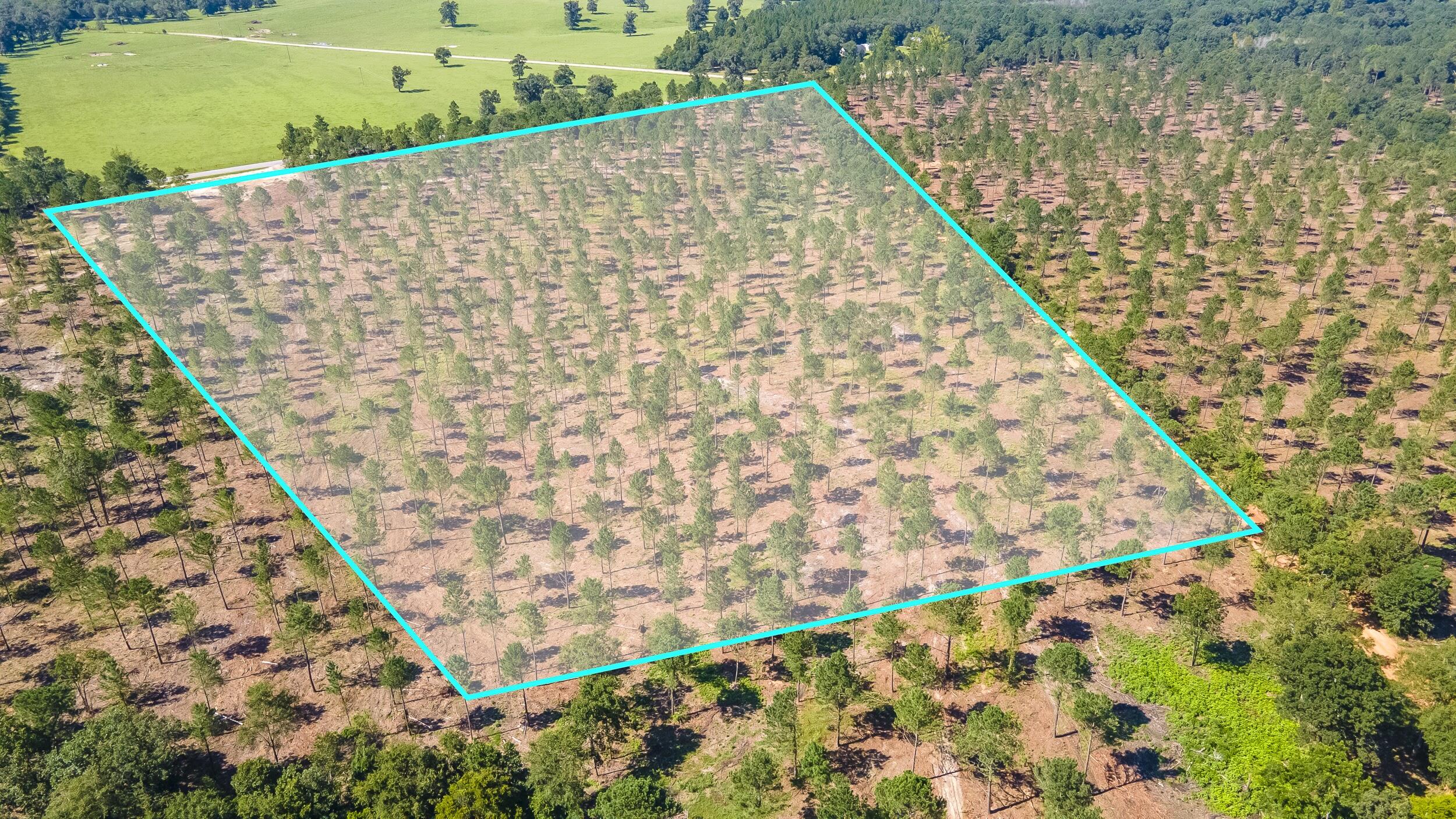 (Lot 10) Shadow Lane / Camp Rawls Rd, Wagener