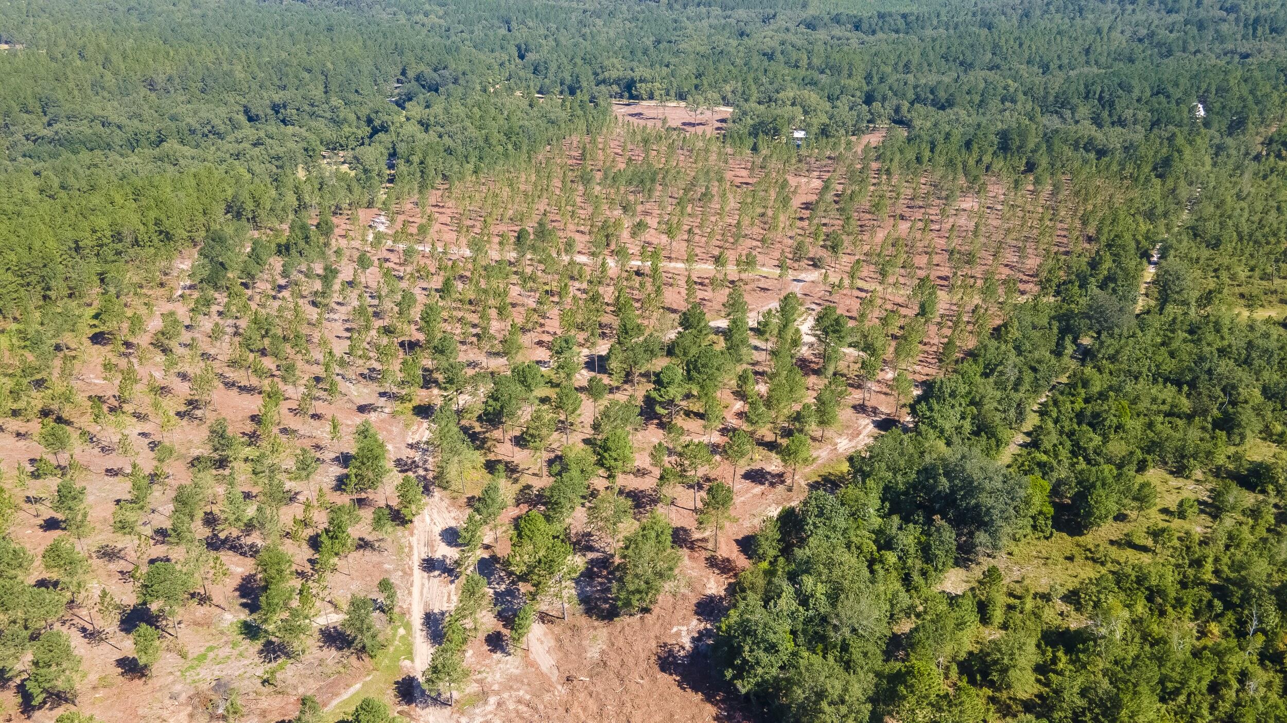 Lot 9 Shadow Lane, Wagener