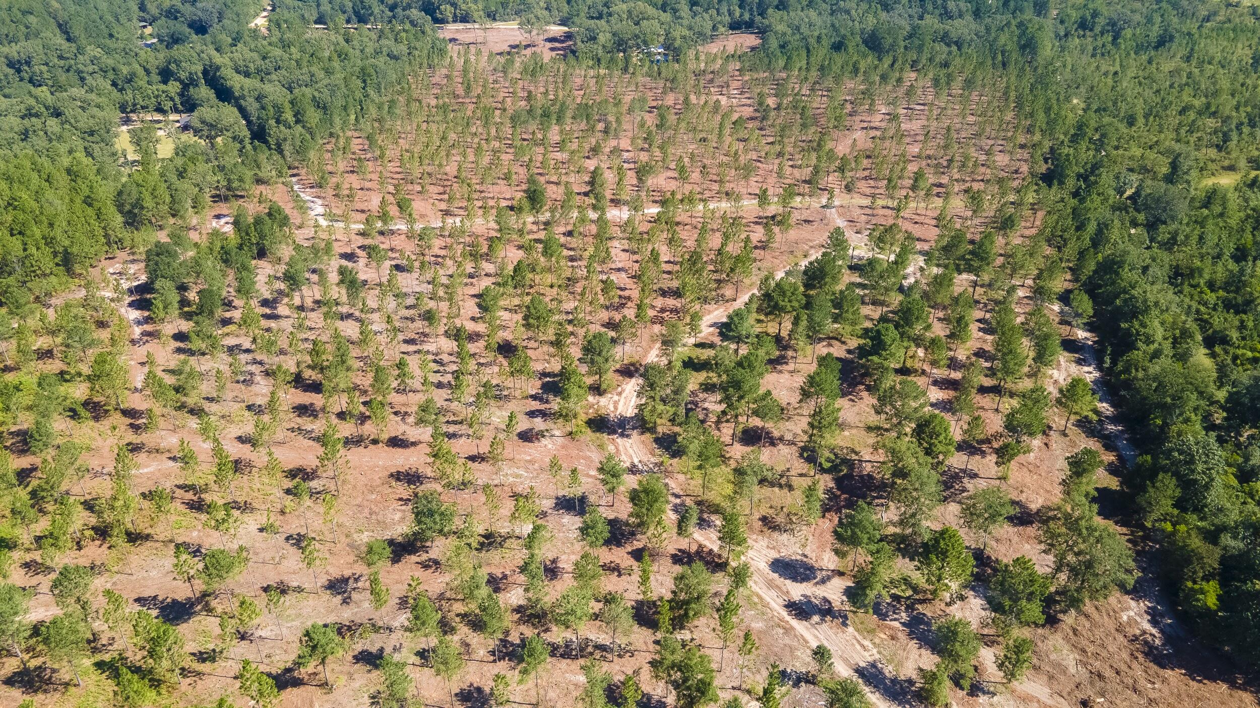 Lot 9 Shadow Lane, Wagener