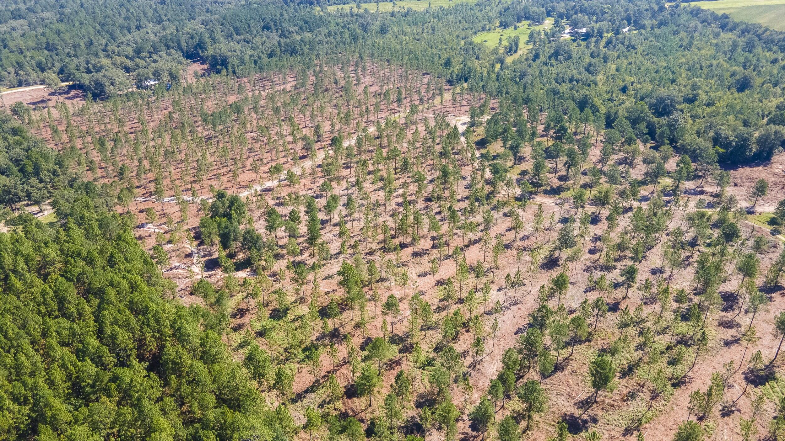 Lot 9 Shadow Lane, Wagener