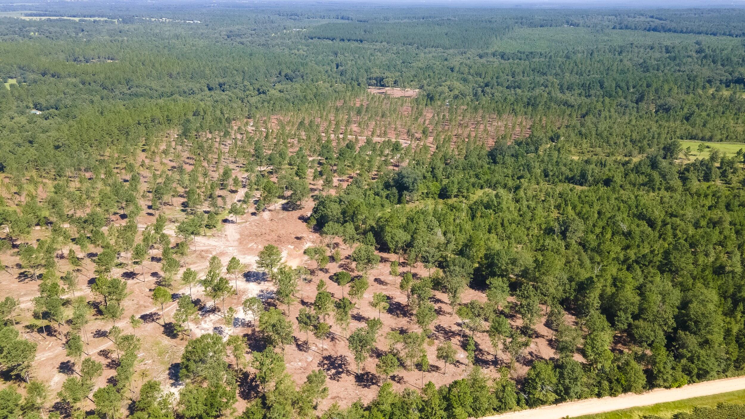 Lot 9 Shadow Lane, Wagener