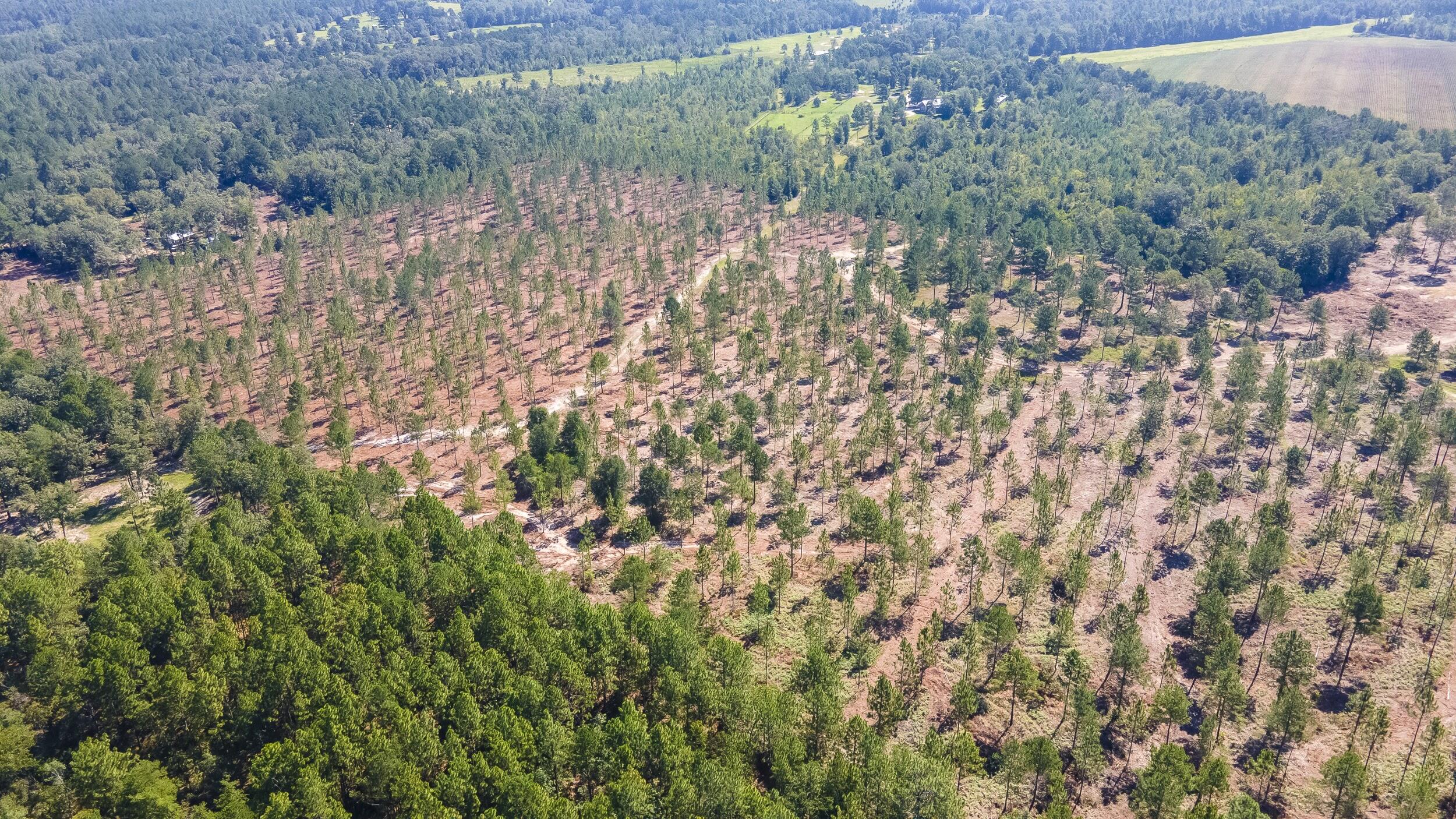 Lot 9 Shadow Lane, Wagener