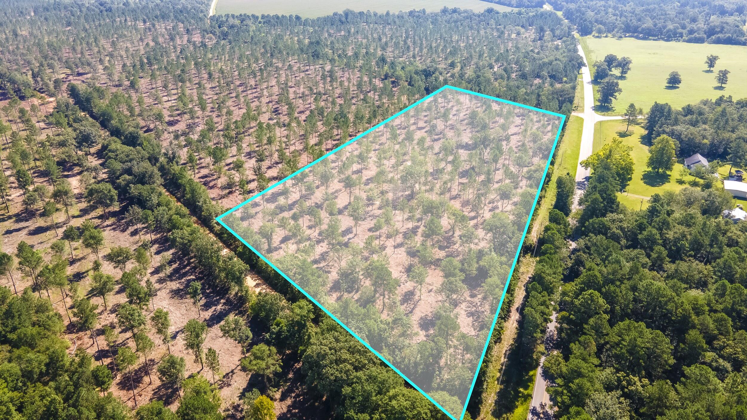 Lot 4 Camp Rawls & Bluffwood Road, Wagener