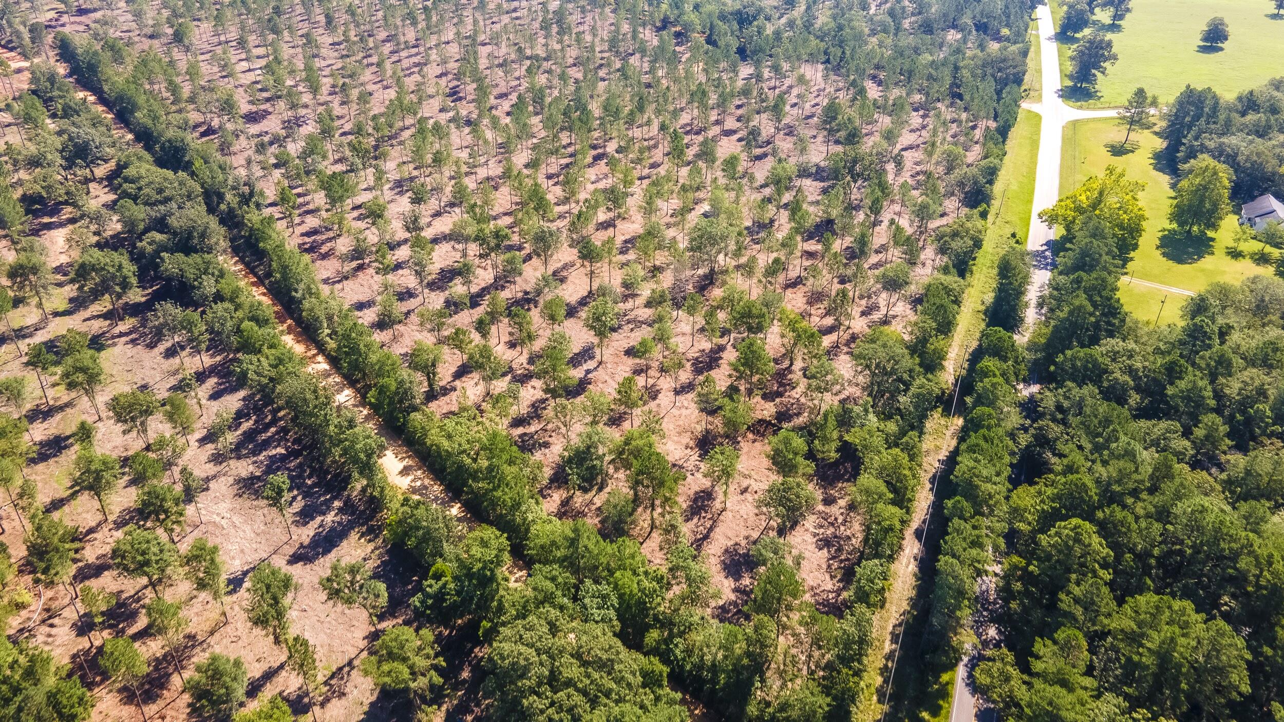 Lot 4 Camp Rawls & Bluffwood Road, Wagener