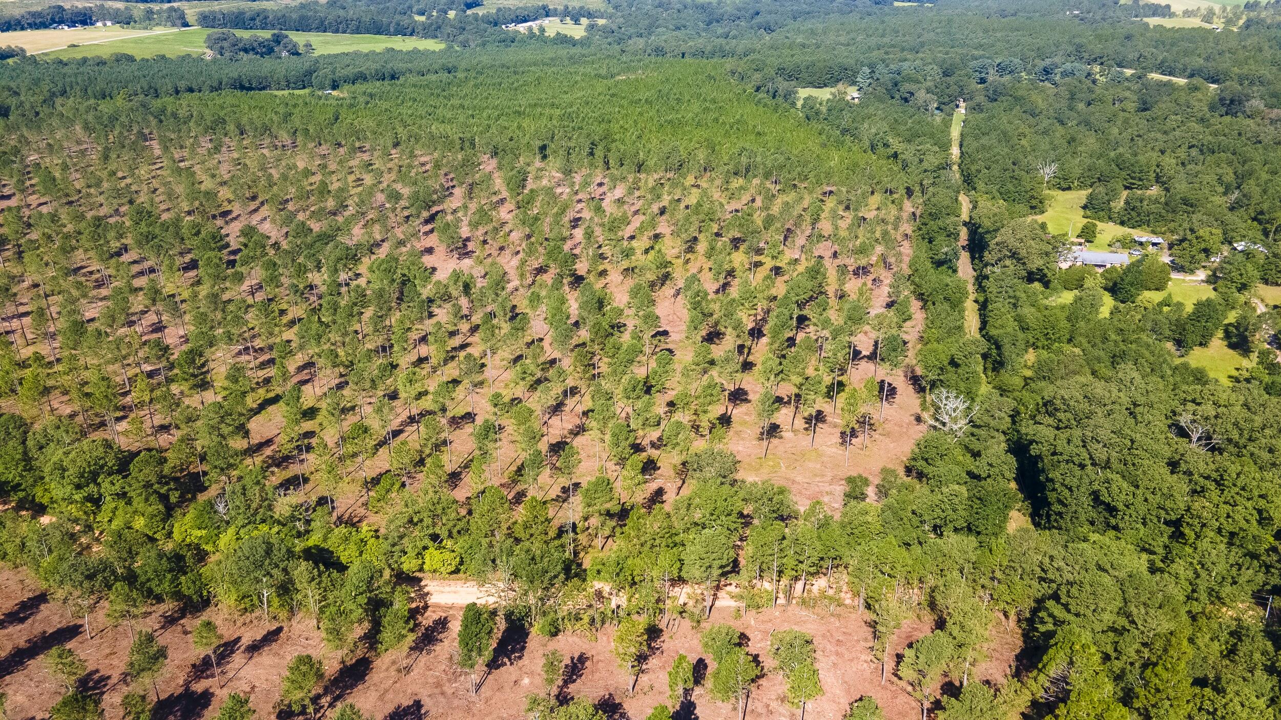 Lot 3 Bluffwood Road, Wagener