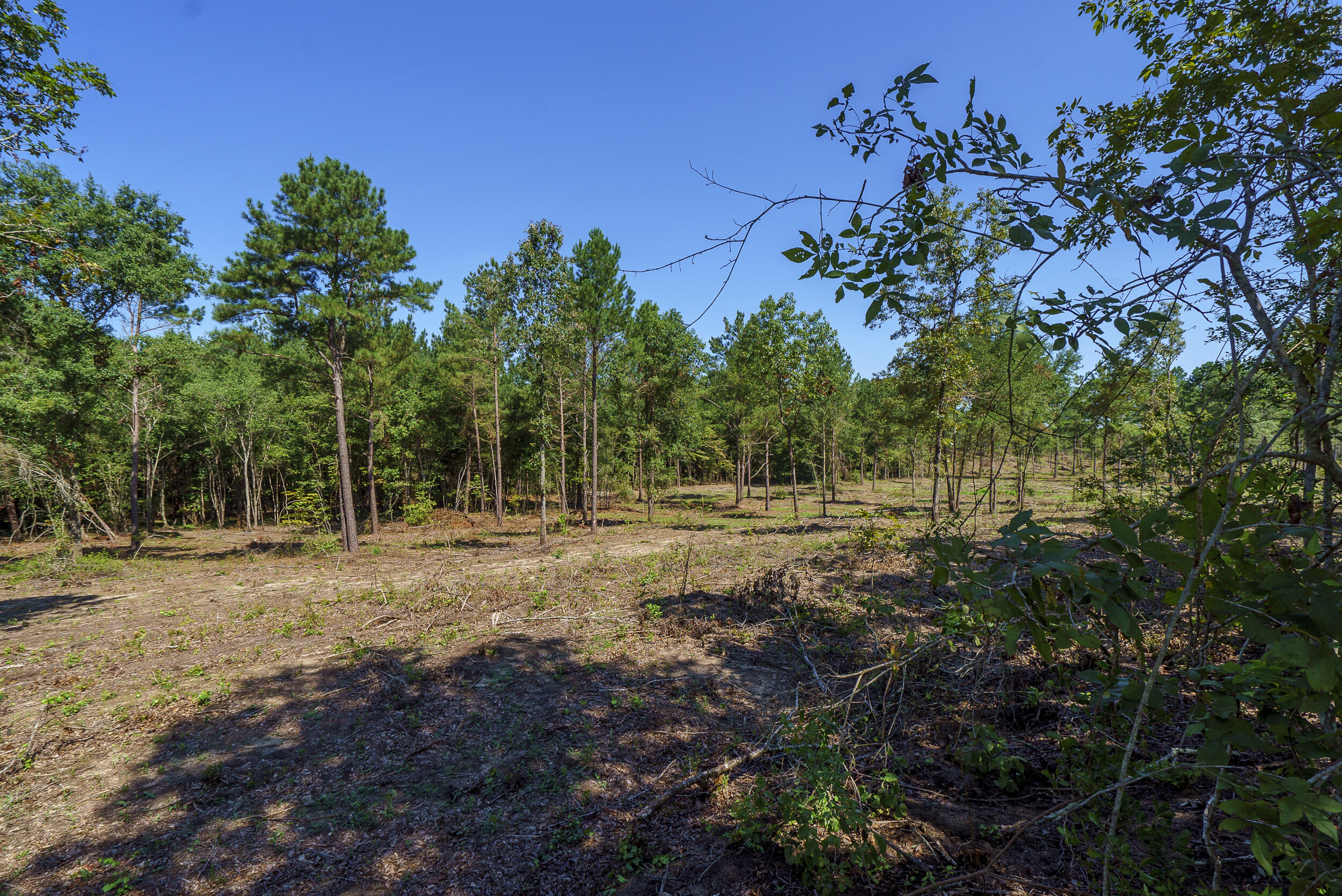 Lot 2 Bluffwood Road, Wagener