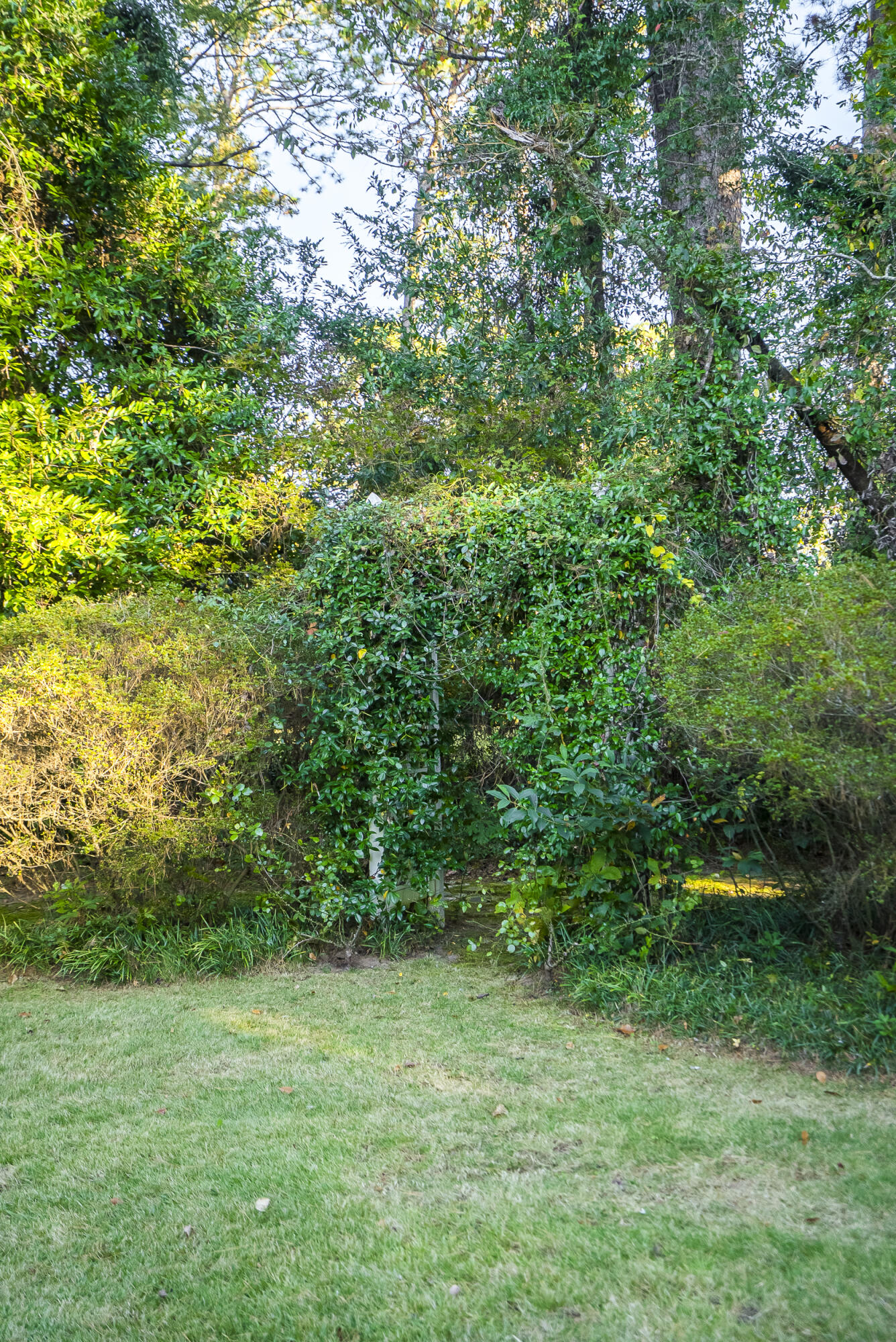 830 Azalea Place SE, Aiken