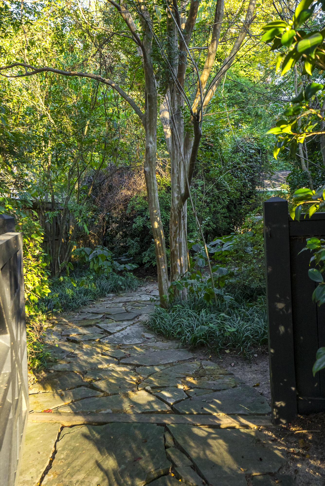 830 Azalea Place SE, Aiken