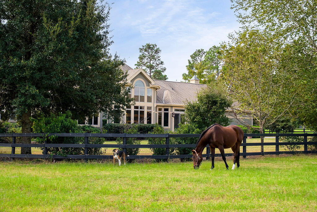 1029 Shell Bluff Drive