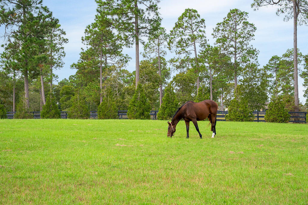 1029 Shell Bluff Drive