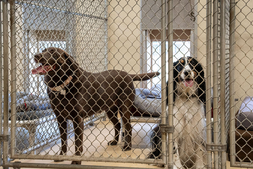 1029 Shell Bluff Drive