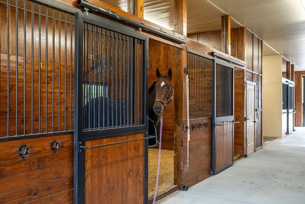 1029 Shell Bluff Drive