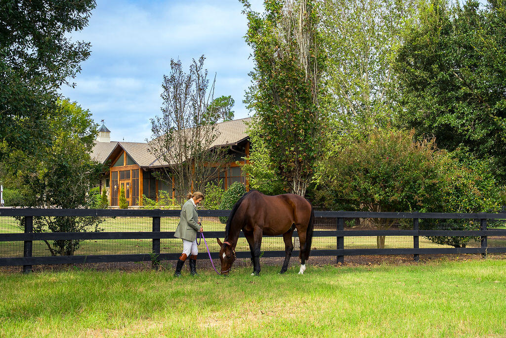 1029 Shell Bluff Drive