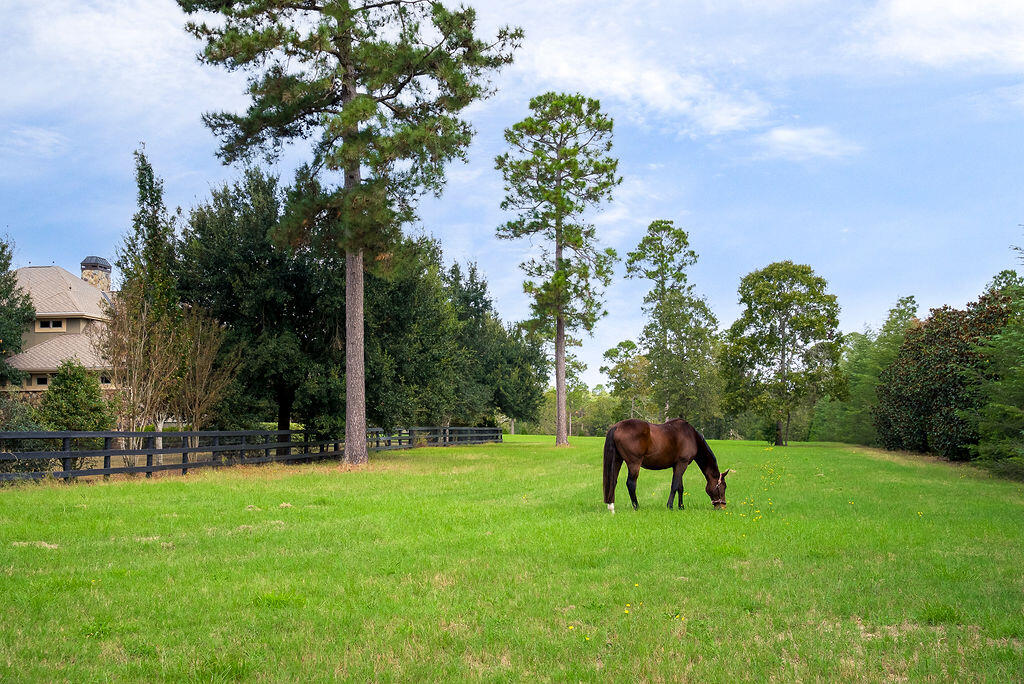 1029 Shell Bluff Drive