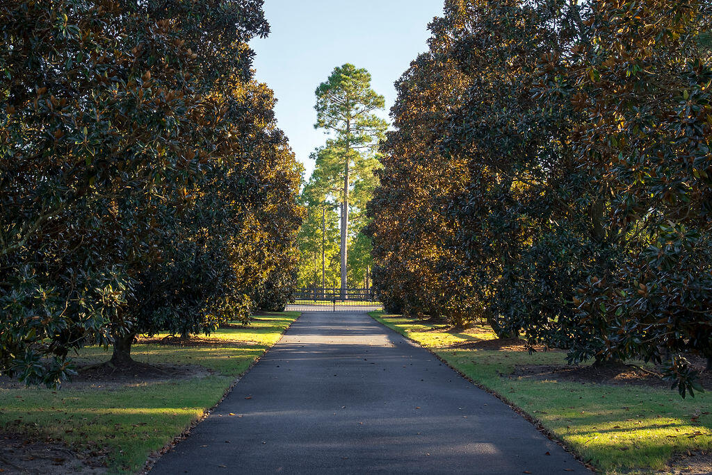 1029 Shell Bluff Drive