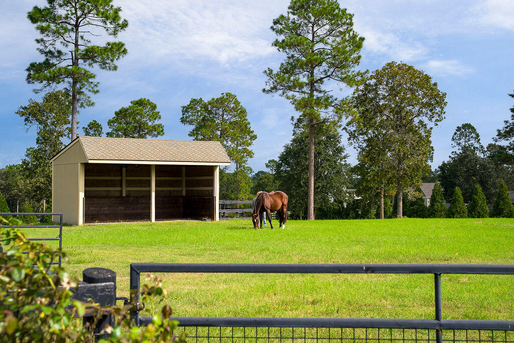 1029 Shell Bluff Drive