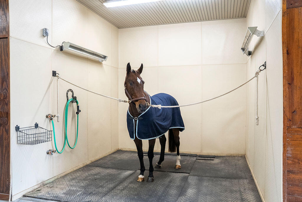 1029 Shell Bluff Drive