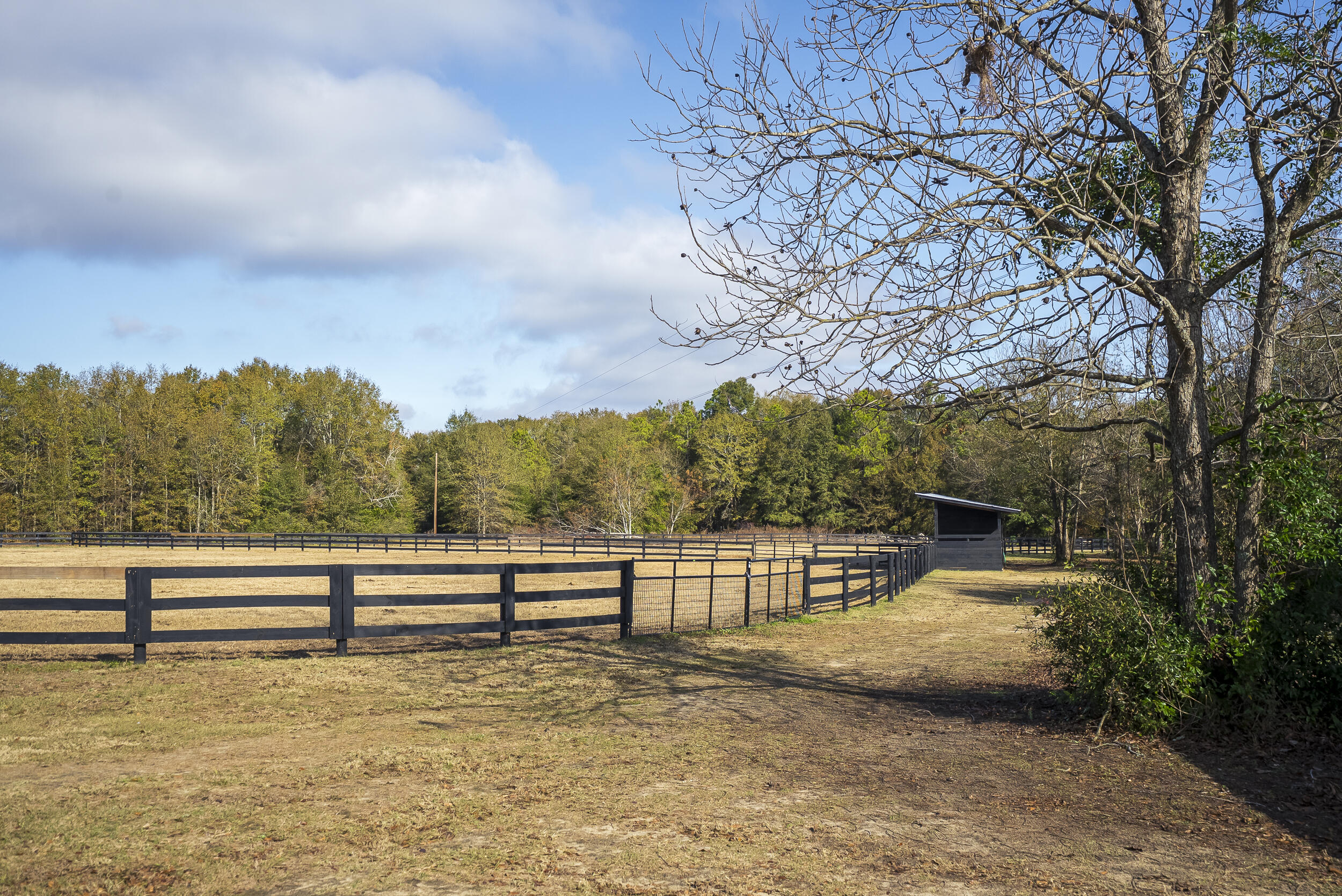2300 Salley Road