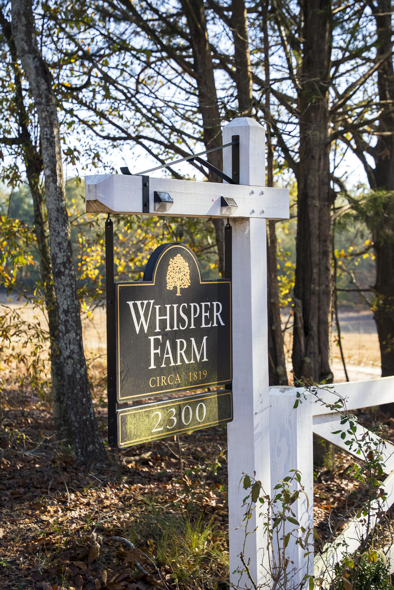2300 Salley Road