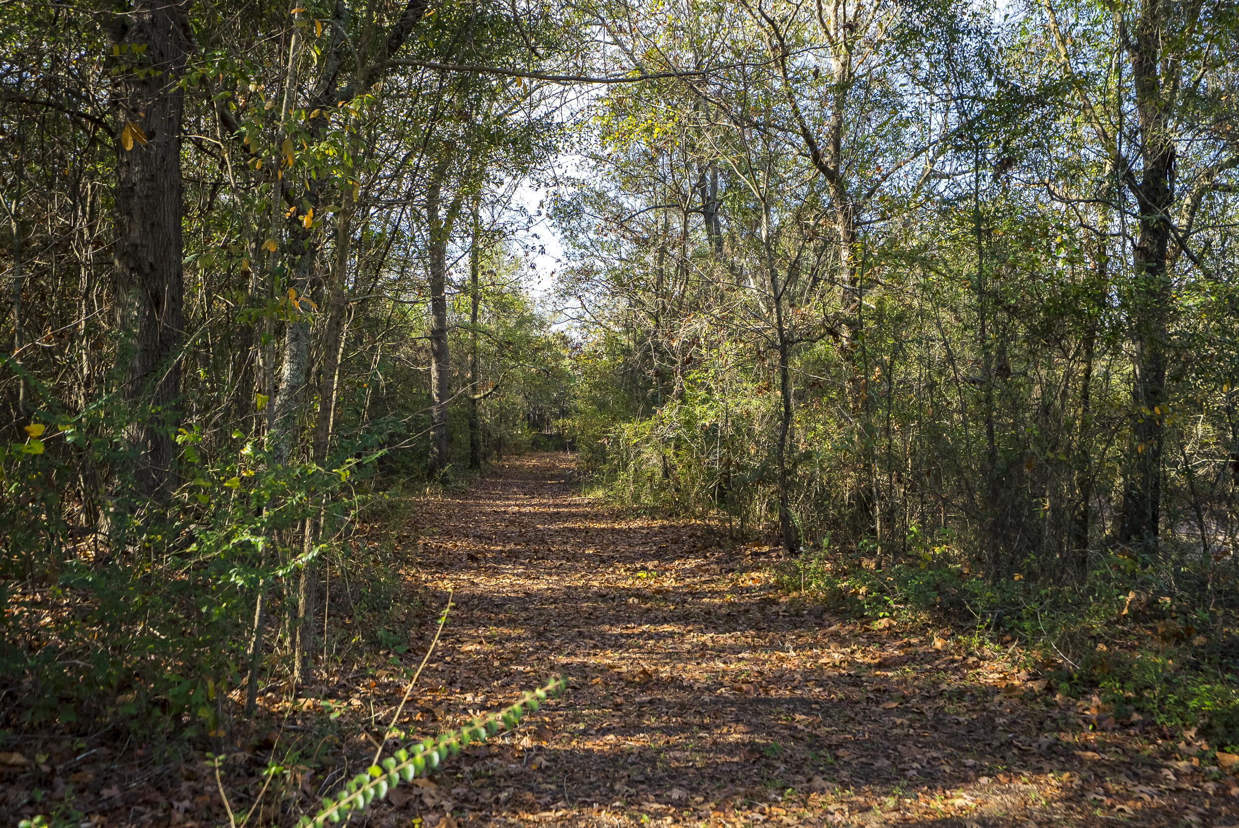 2300 Salley Road