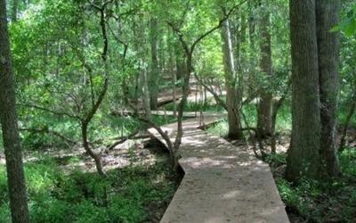 7115 Castlesteads Drive