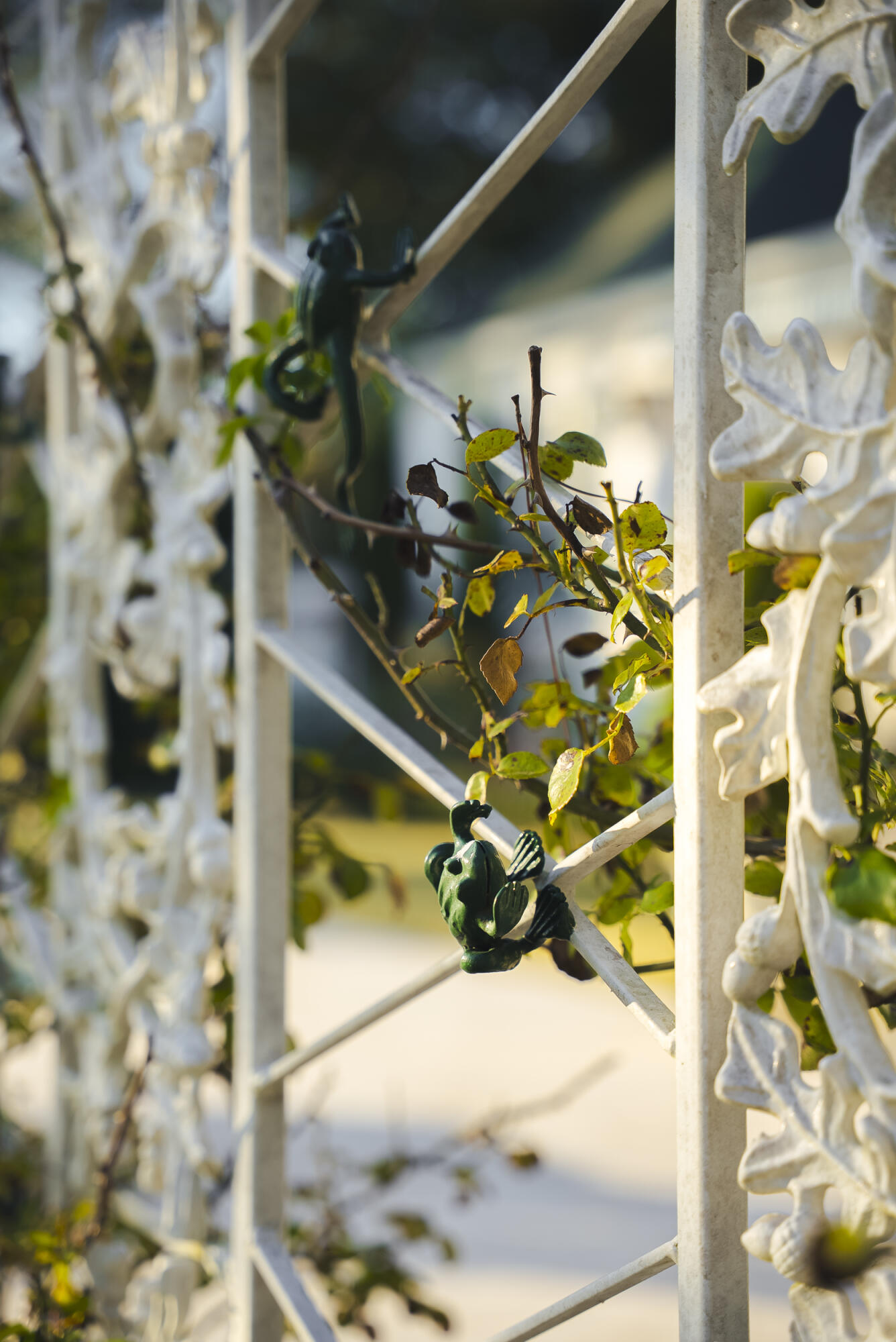 409 Chestnut Brown Court