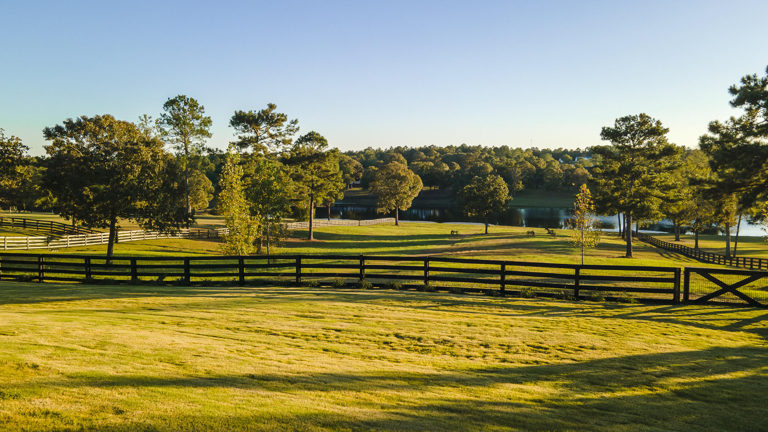 409 Chestnut Brown Court