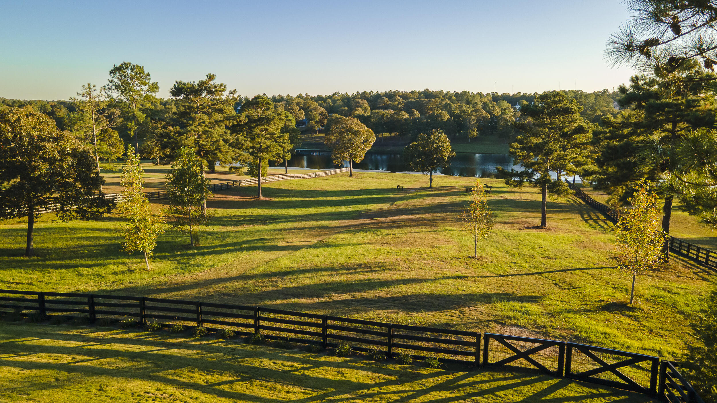 409 Chestnut Brown Court
