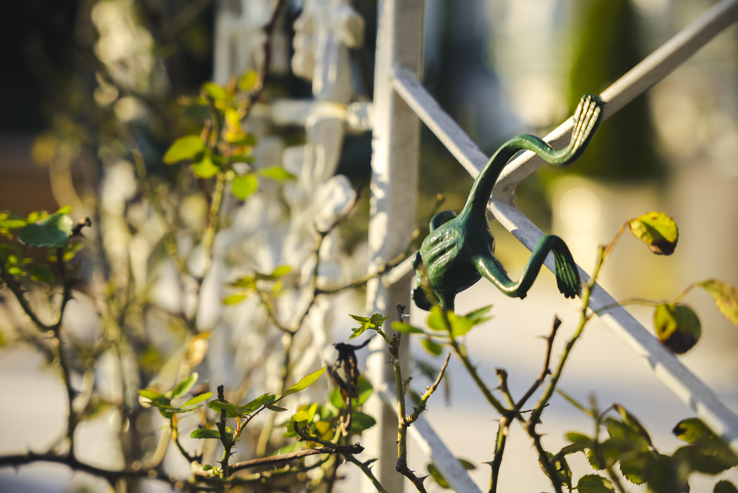 409 Chestnut Brown Court