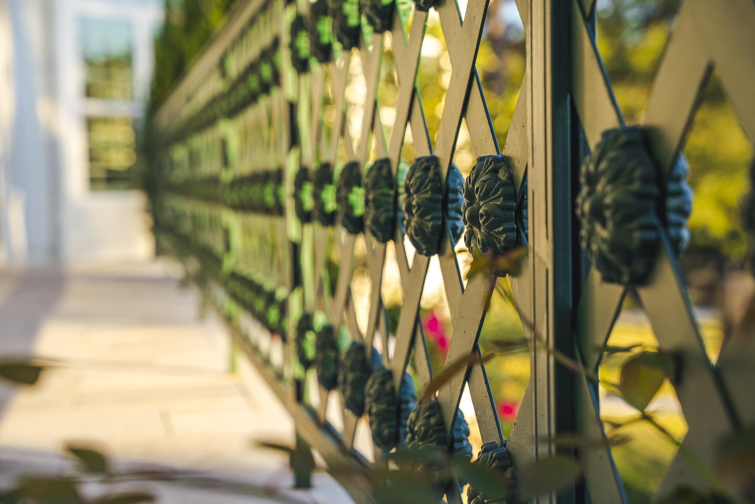 409 Chestnut Brown Court