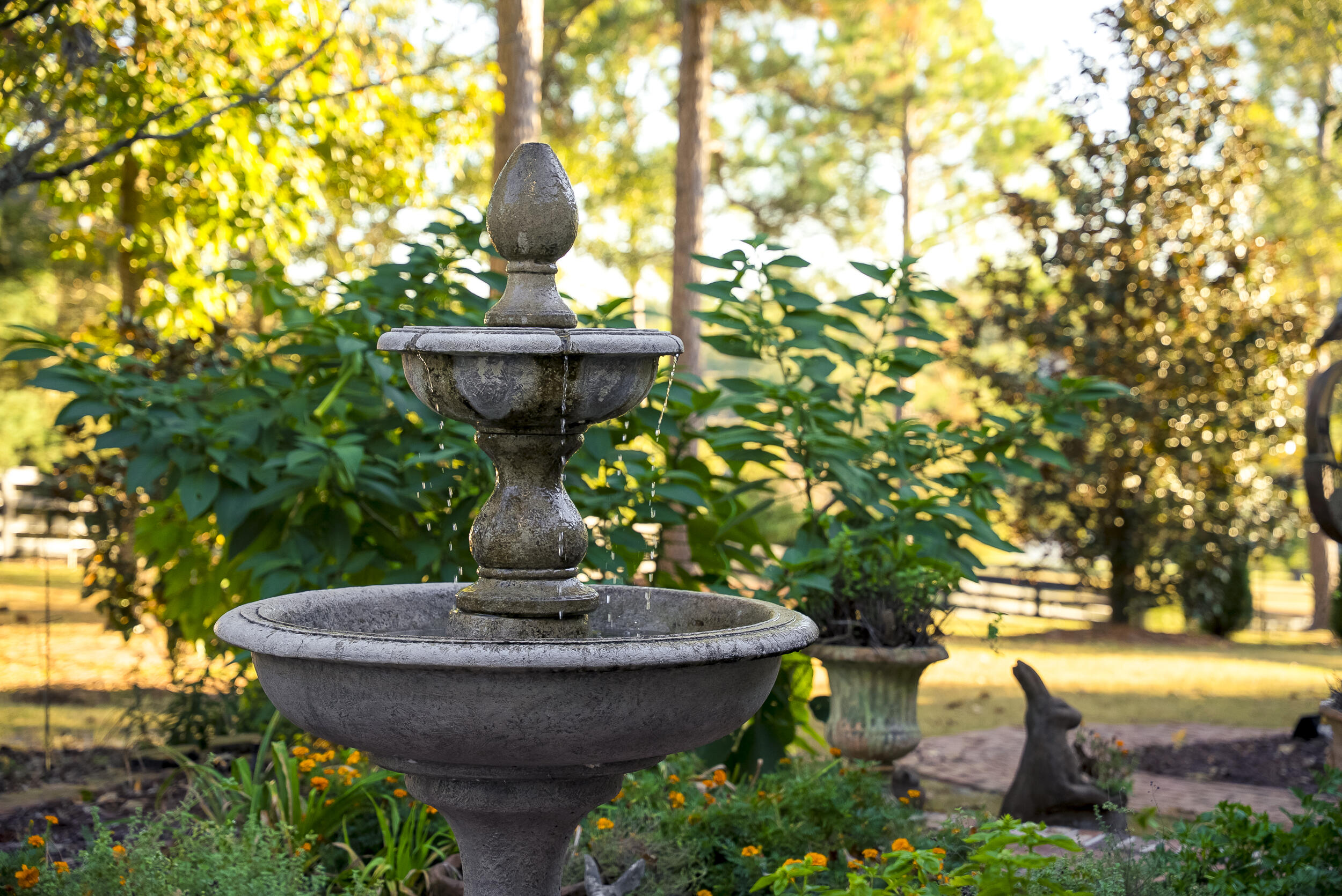 409 Chestnut Brown Court