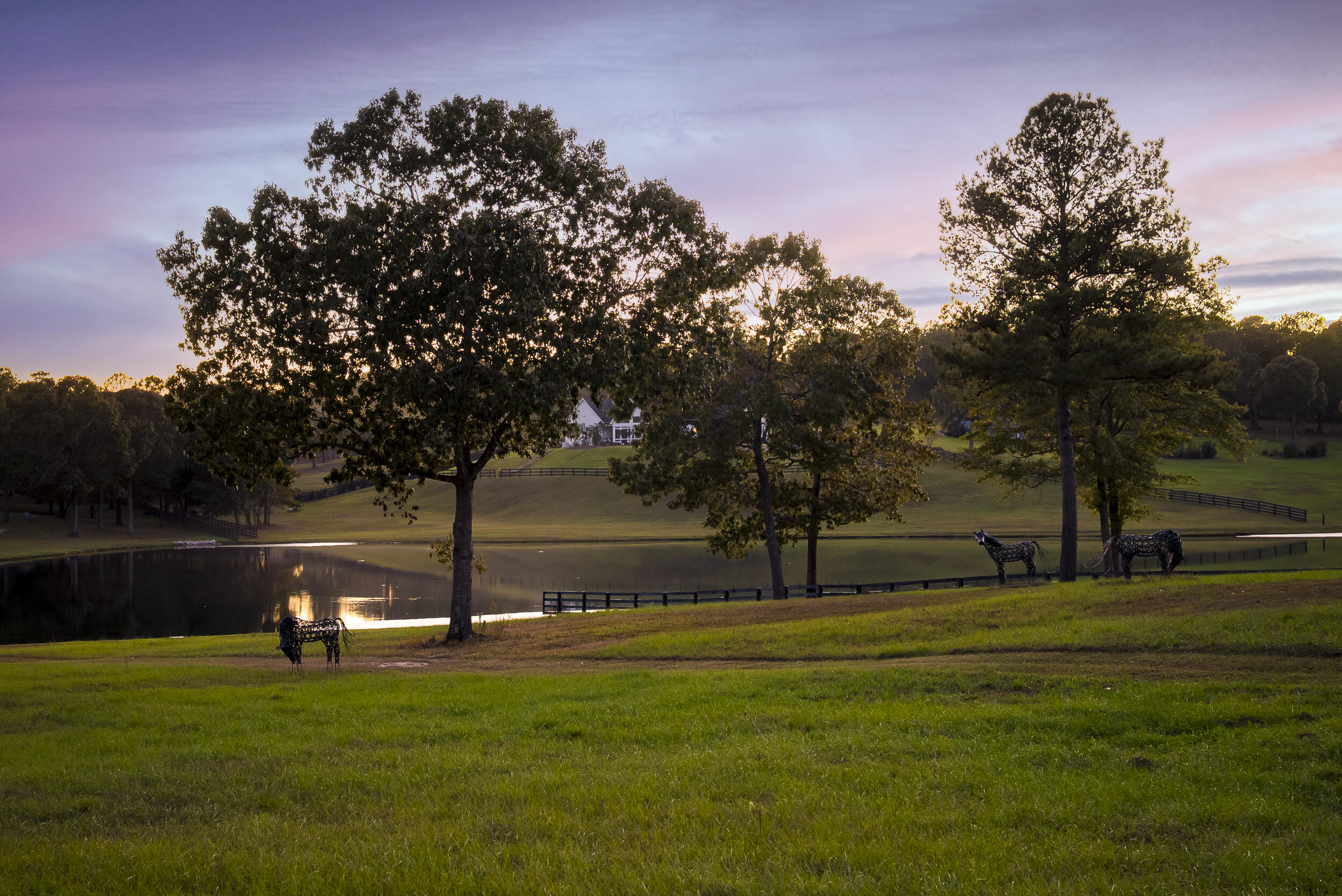 409 Chestnut Brown Court