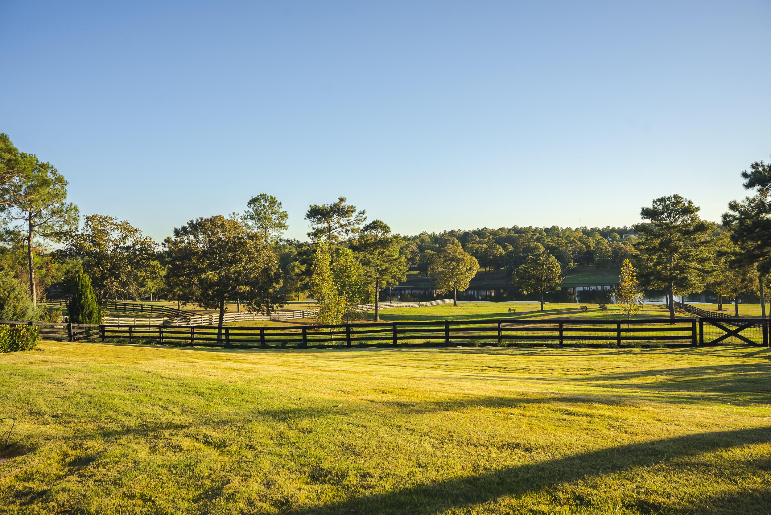 409 Chestnut Brown Court